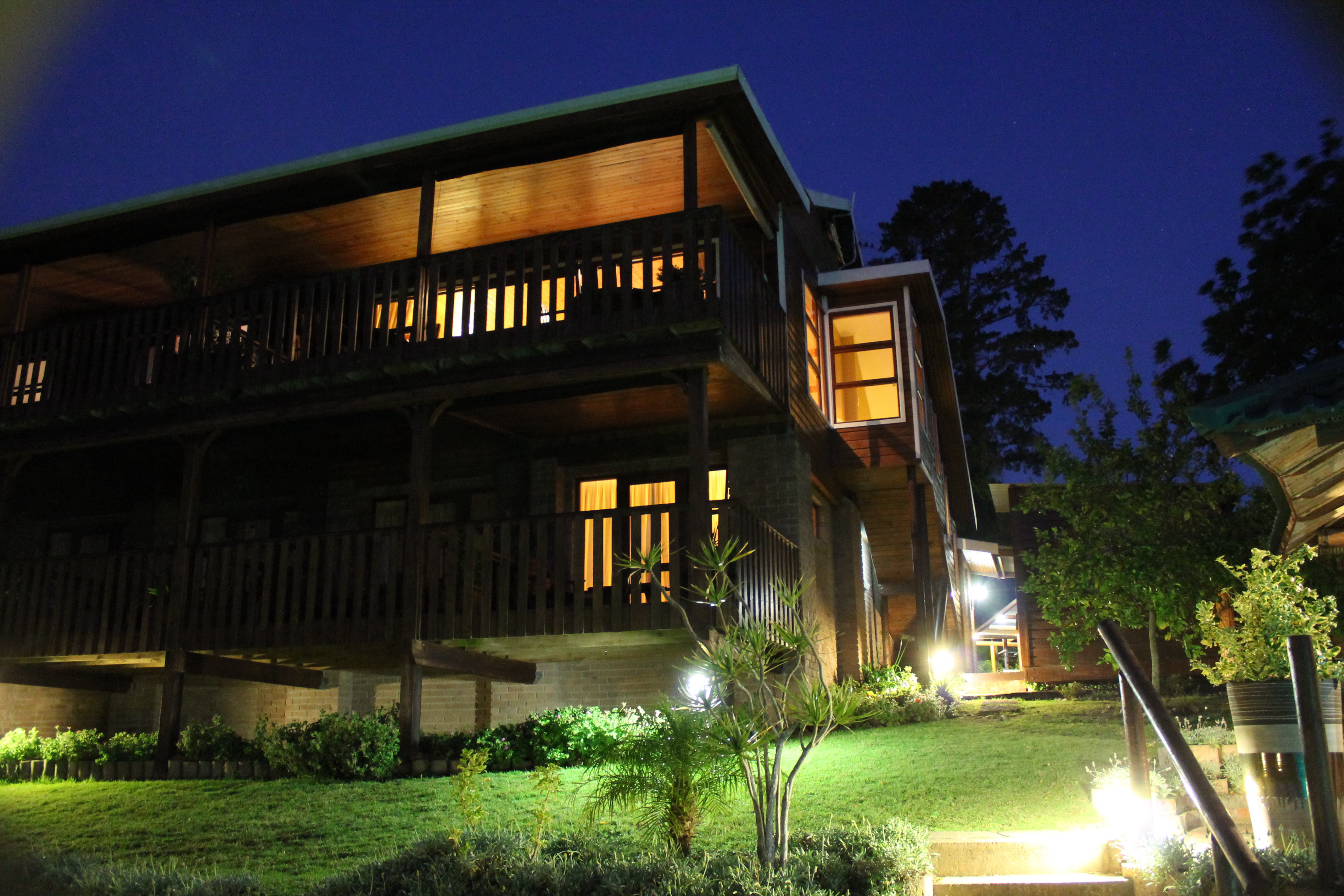 Listen carefully and you might hear an owl or a nightjar calling.