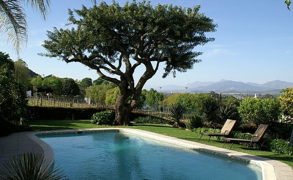 De Wingerd Wijnland Lodge, Stellenbosch | Timbuktu Travel