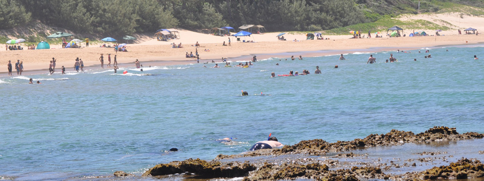 Forest Lodge, iSimangaliso Wetland Park | Timbuktu Travel