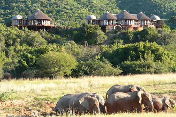 Nguni River Lodge , Eastern Cape | Timbuktu Travel