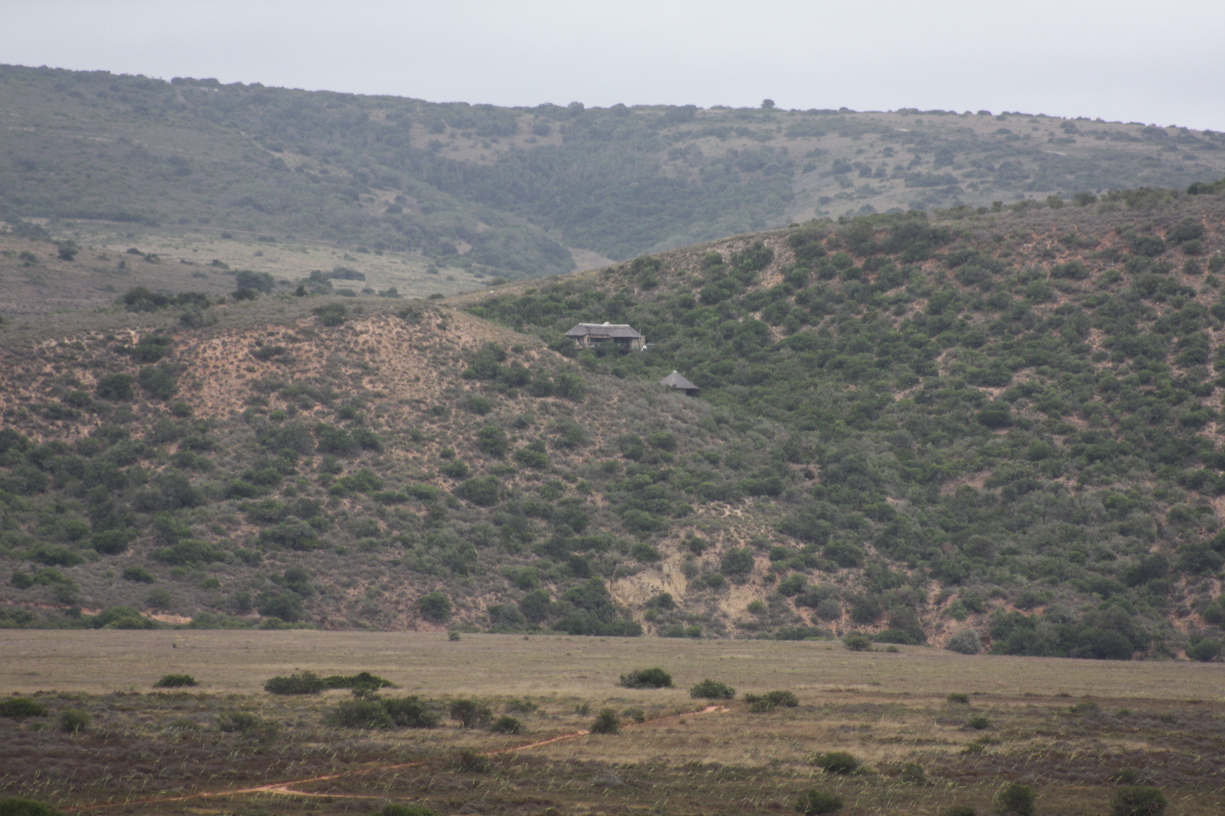 Bou Bou Lodge is situated in the heart of Amakhala Game Reserve. Totally isolated and the perfect hidaway