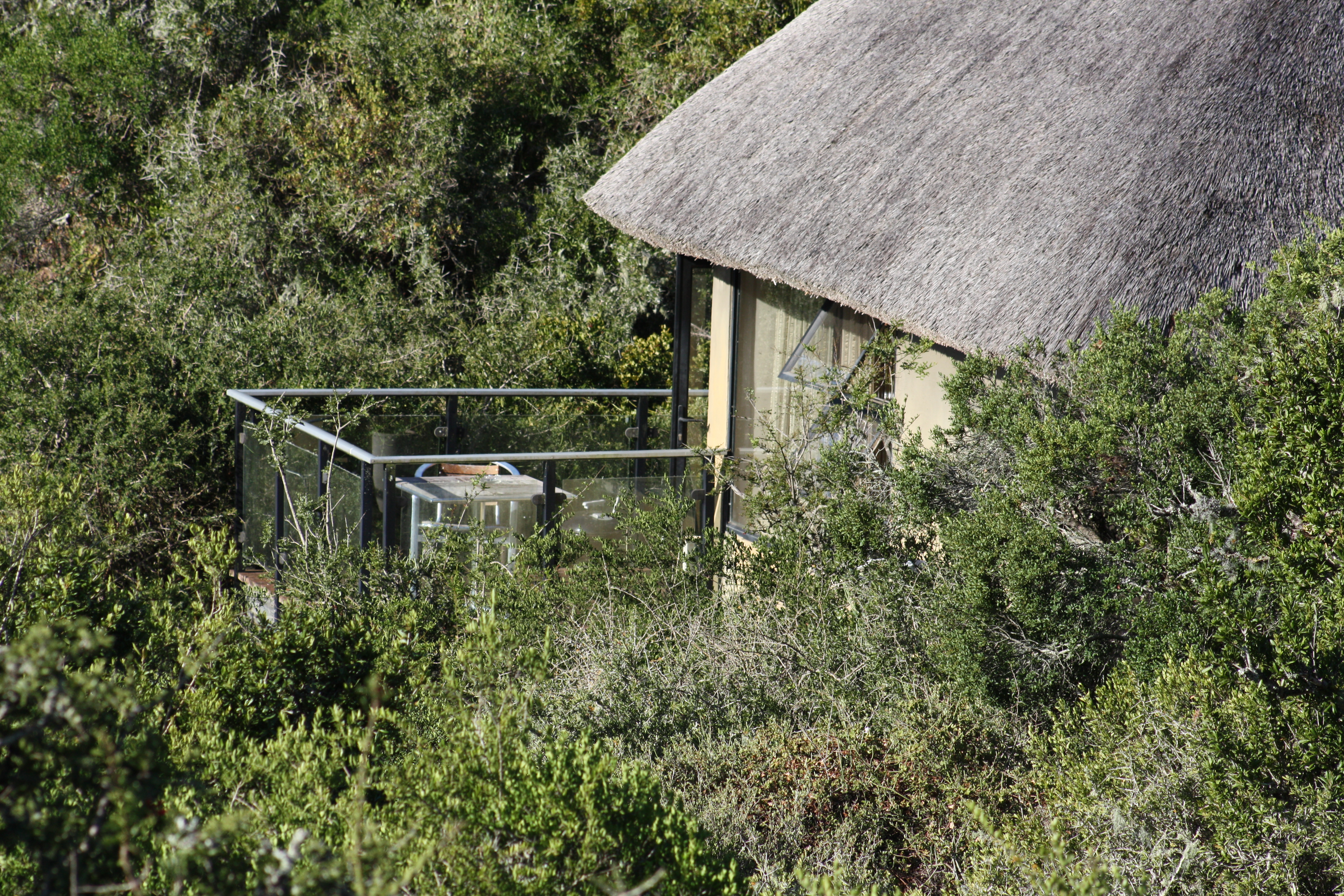 The chalet totally submerged in the bush offers total privacy