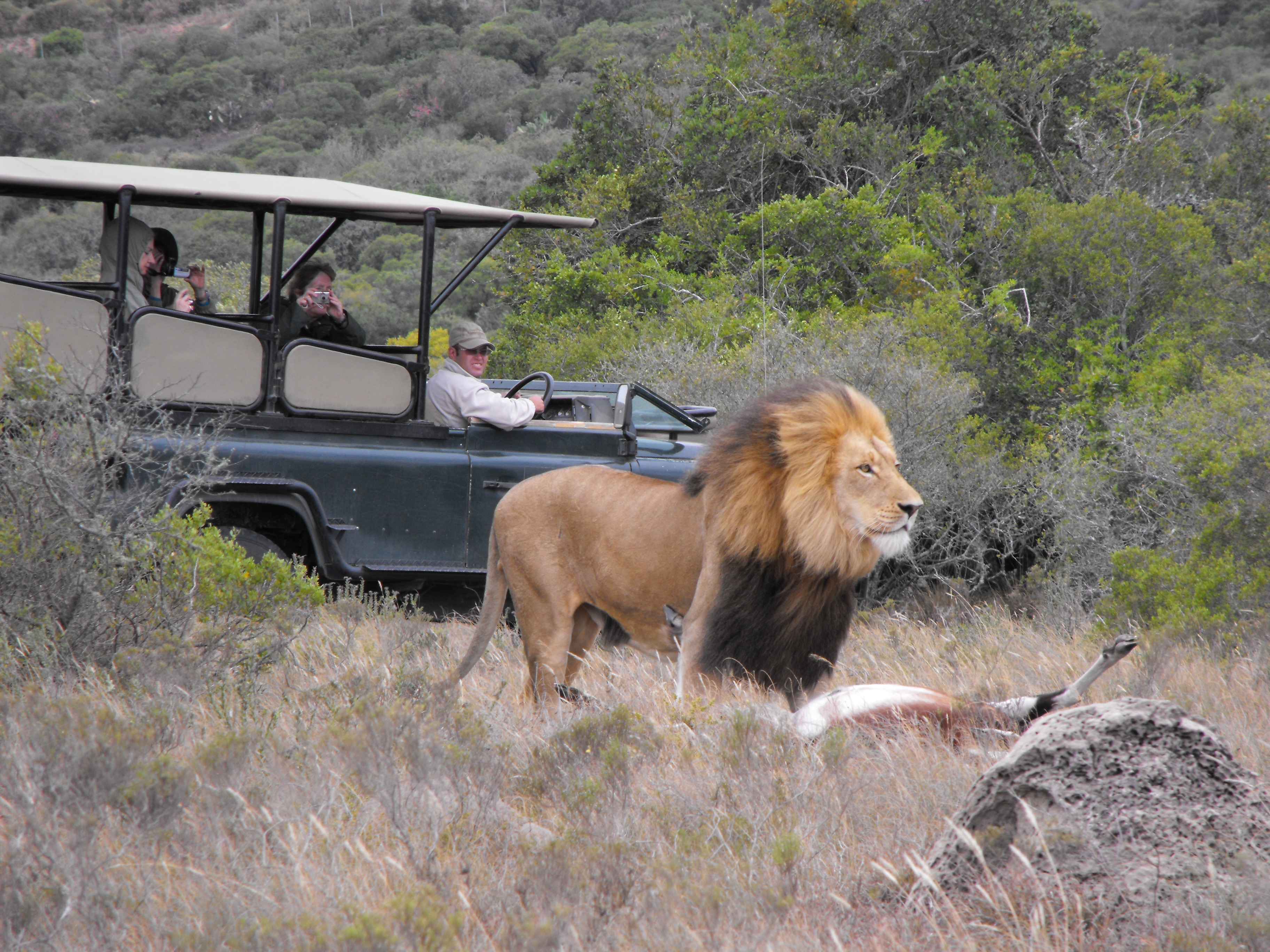 Game Drive