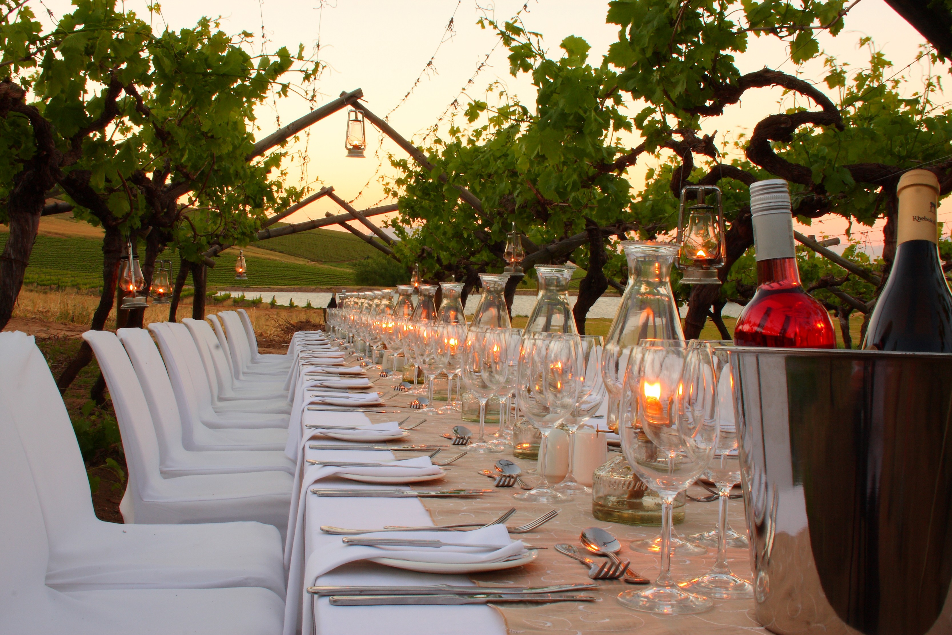 A vineyard dinner.