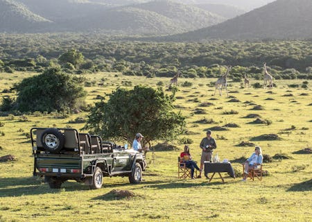 Guests enjoy twice daily game drives with their professionally qualified guide and can also enjoy guided walks and river safaris.