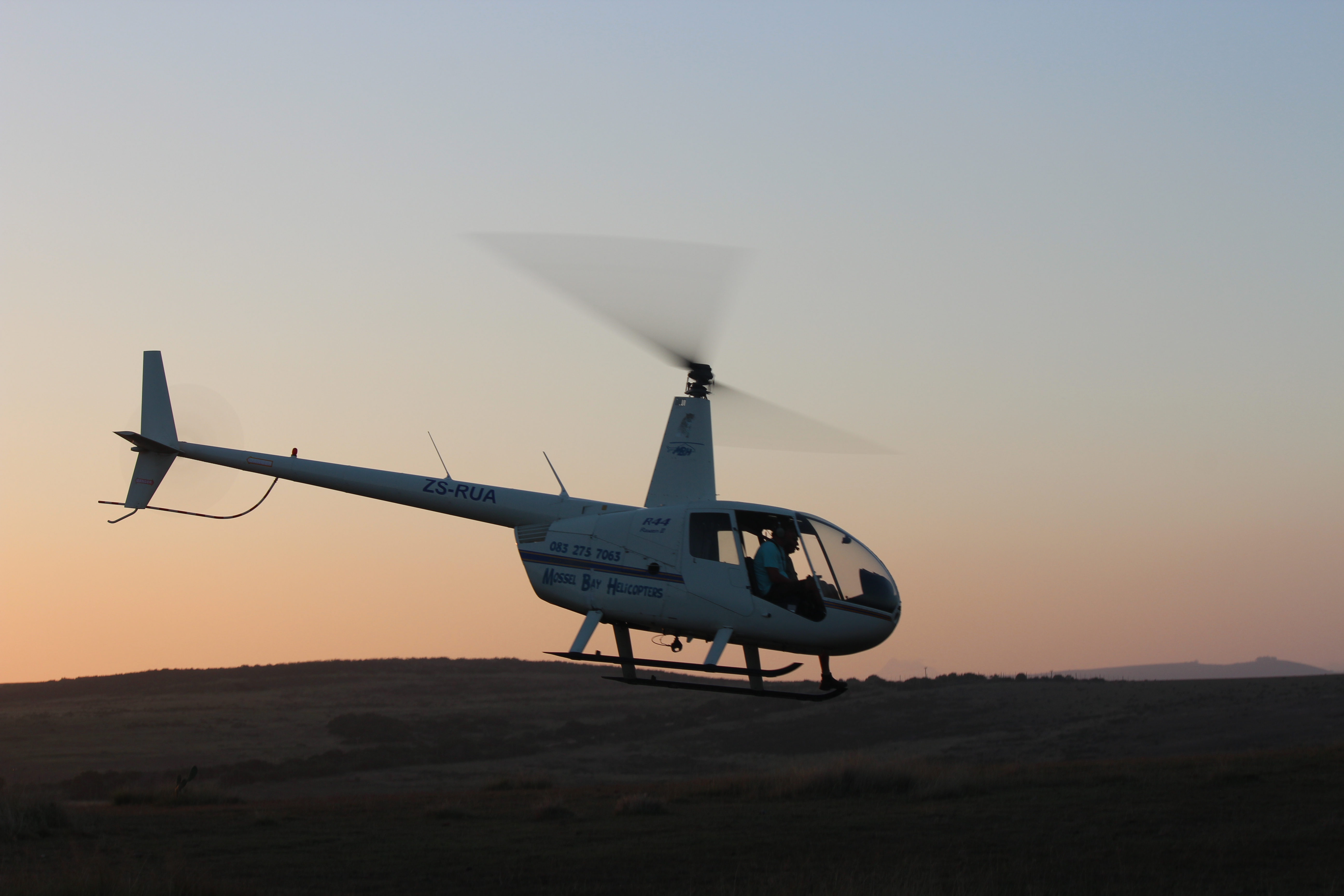 Enjoy a bird's-eye view of wildlife with a scenic helicopter flight