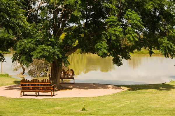 View from the single chalets