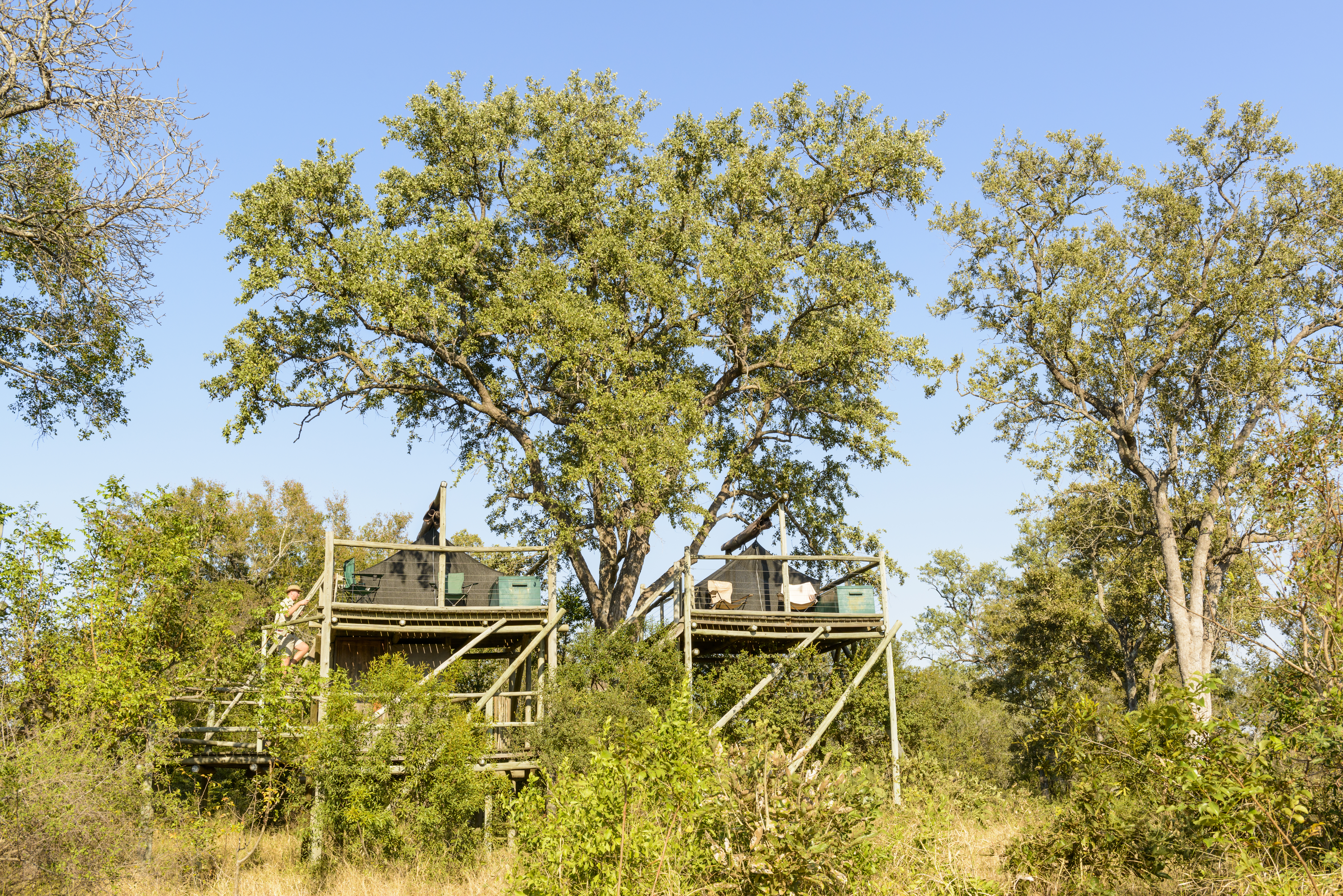 Raised tented decks for sleeping out under the stars. An arranged activity for 1 night from Plains Camp