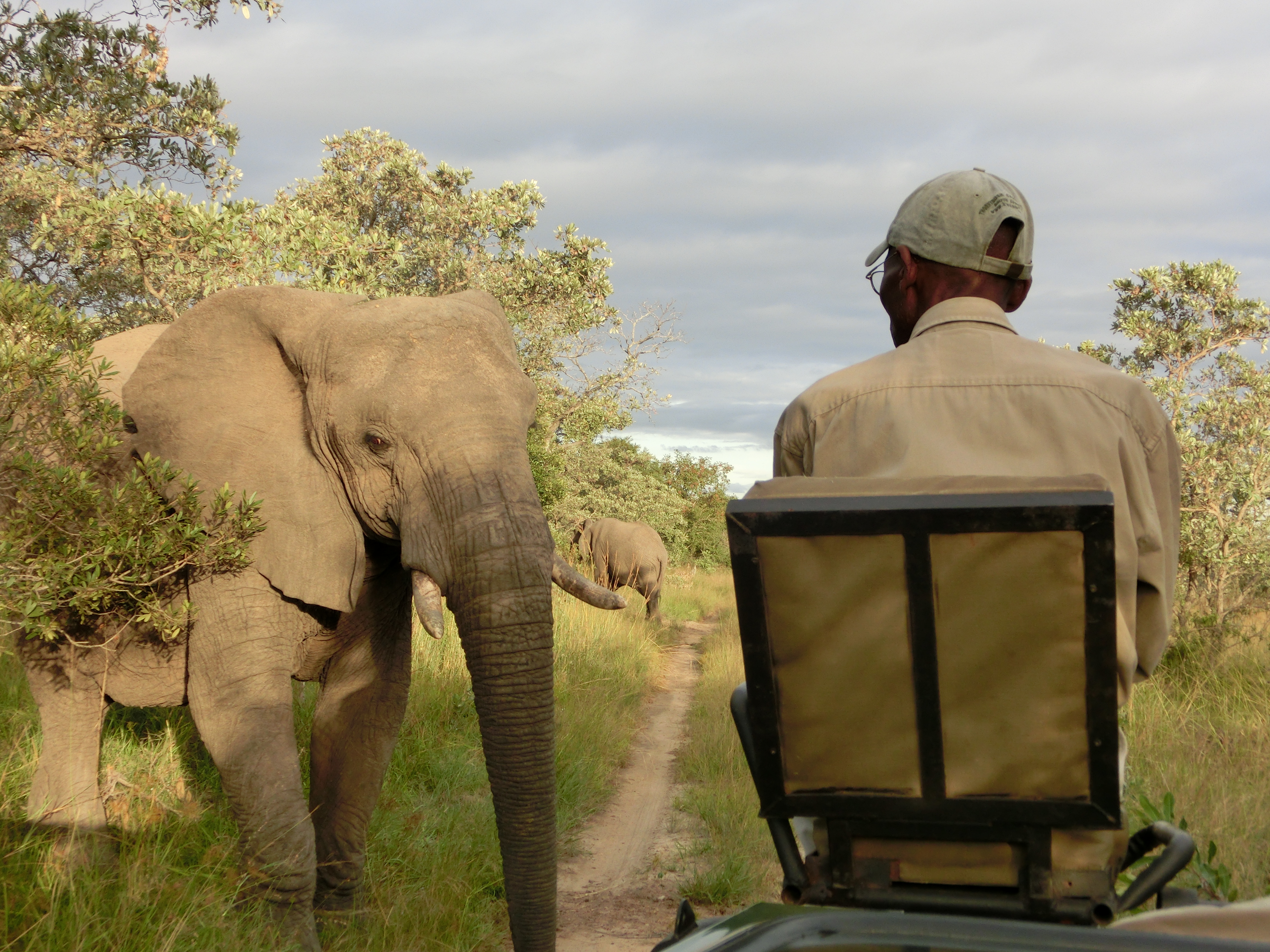 At KwaMbili you will have a ranger as well as a tracker on game drives (so more chance of finding good game).