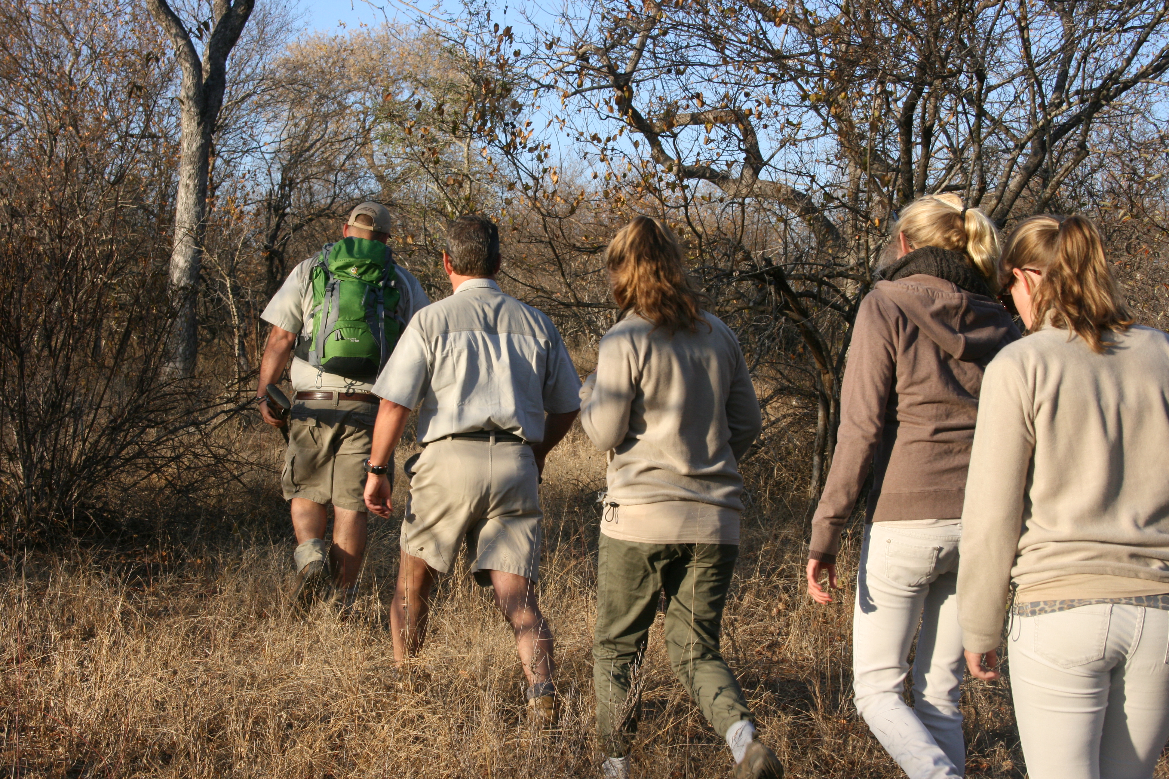 We can arrange bush walks from the lodge (short or long) guided by our armed and knowledgeable rangers.  
