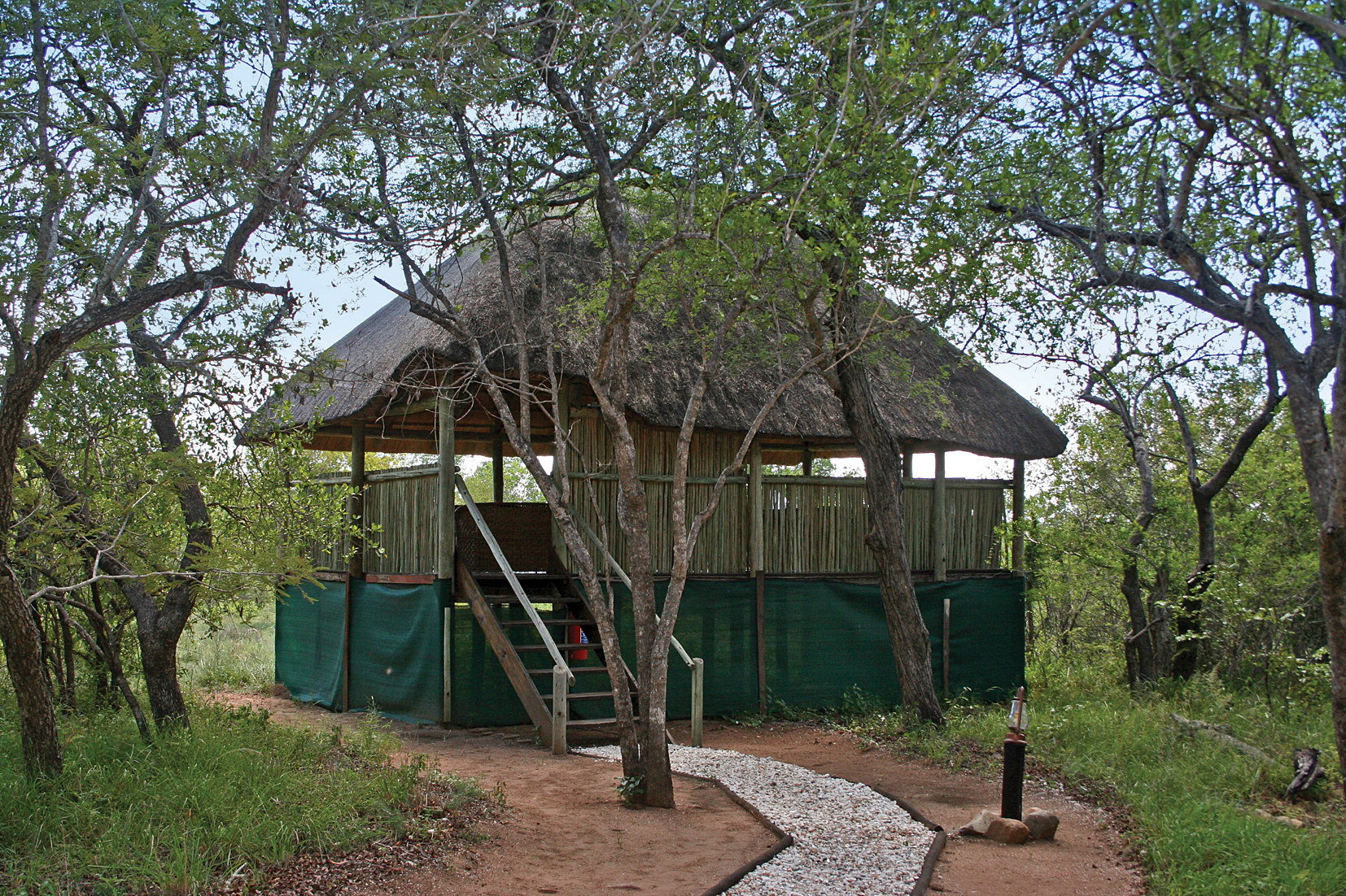 At the lodge with have a large observation hide and waterhole (floodlit at night). 