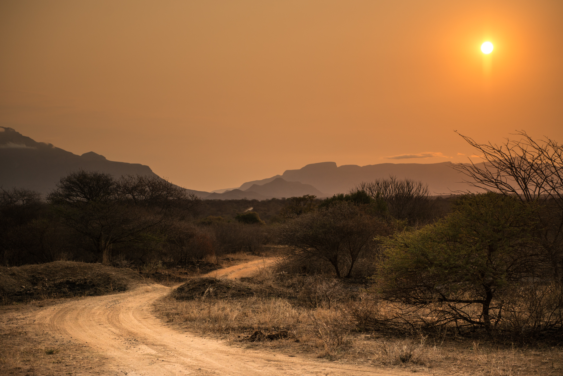 Sunset over the reserve