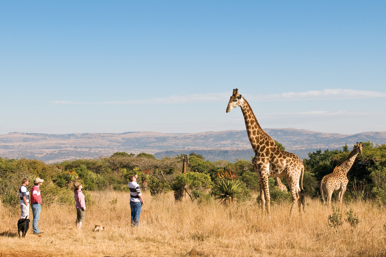 Getting close to the wildlife