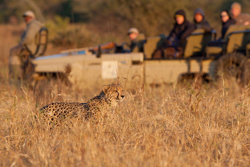 Private Amakhosi Game vehicle 