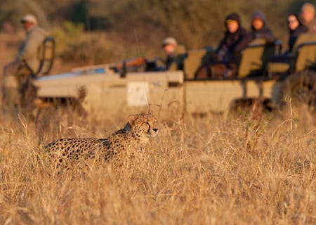 Private Amakhosi Game vehicle