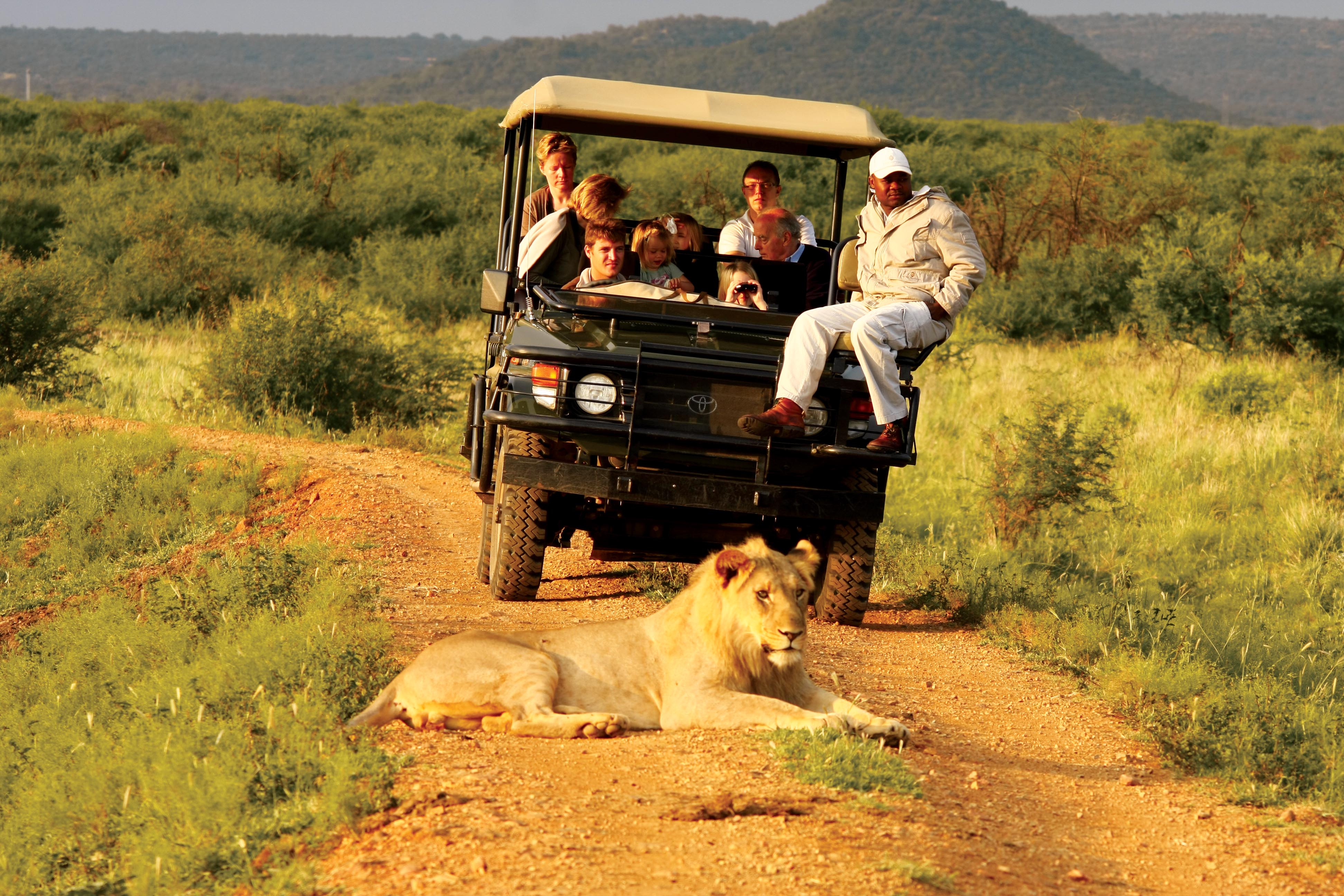Traversing over 75 000 hectares of vast plains, Madikwe Game Reserve offers spectacular game viewing