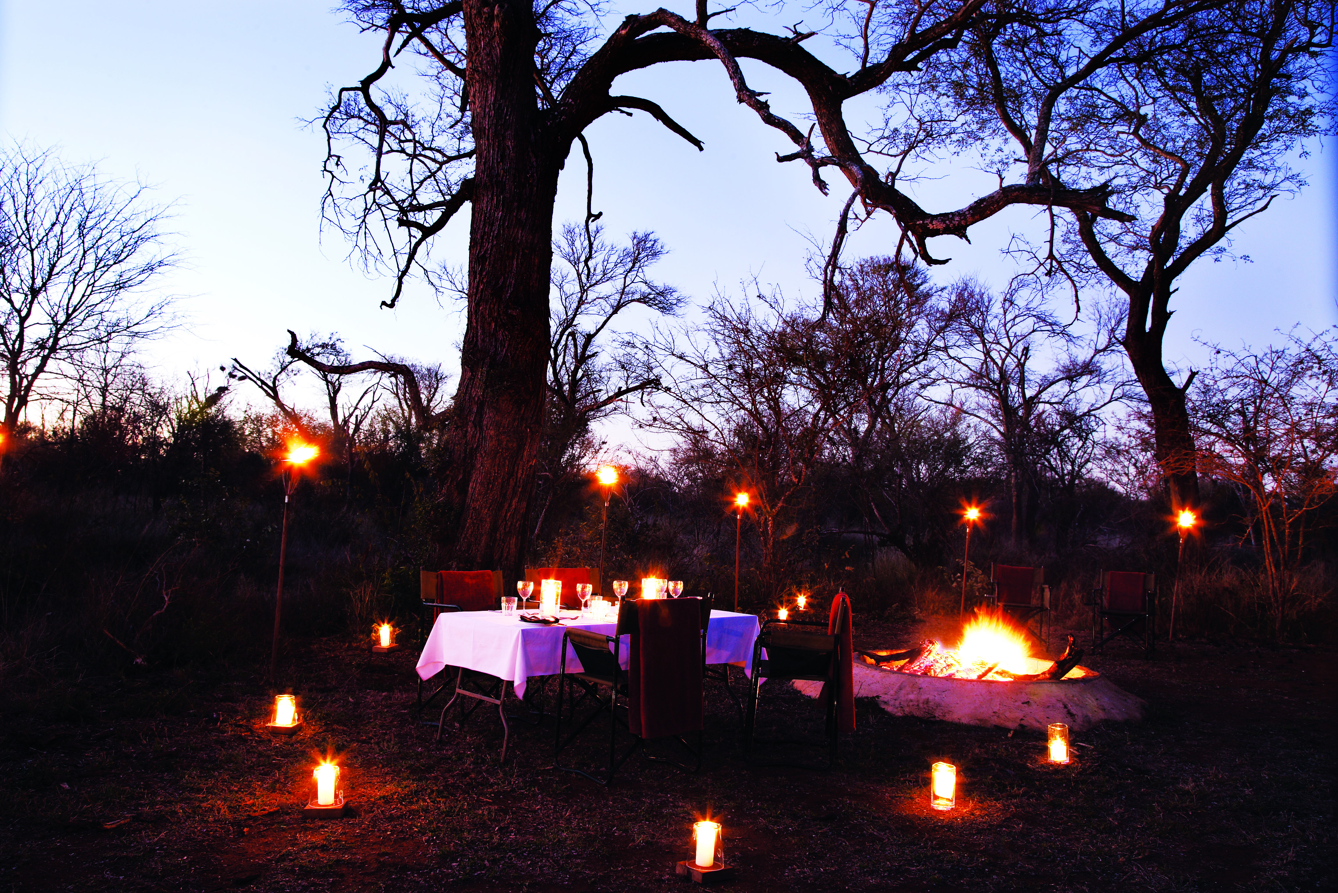 Our Bush Dinner experience will provide guests with an incredible outdoor dining experience surrounded by the African Bush.