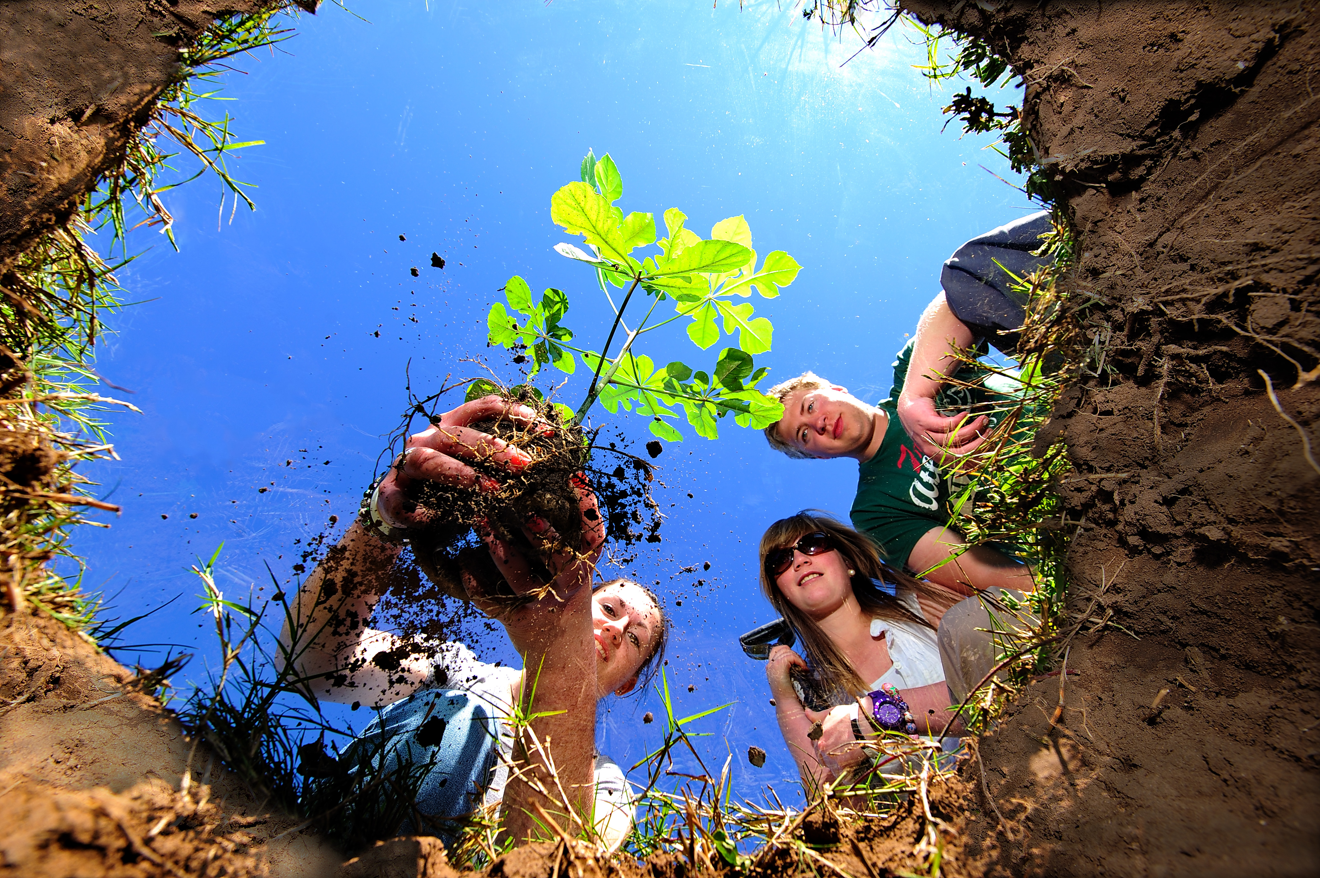 Field Guide Training