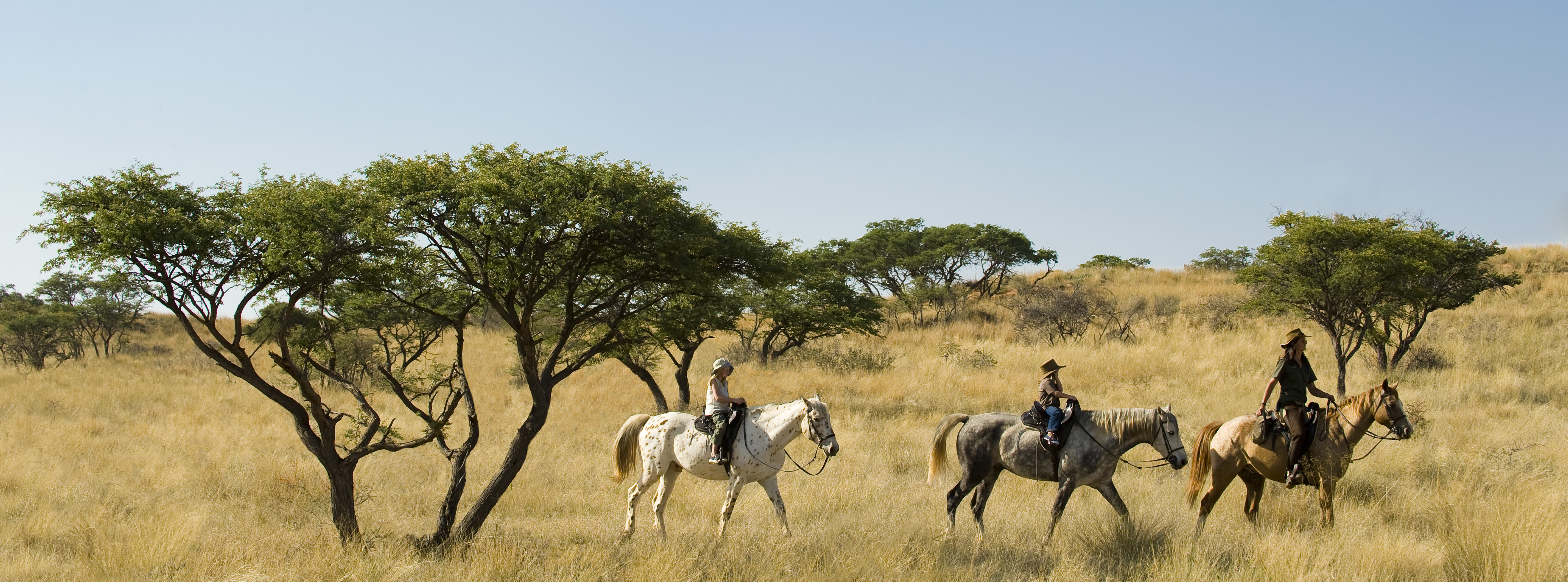 We cater for all levels of rider