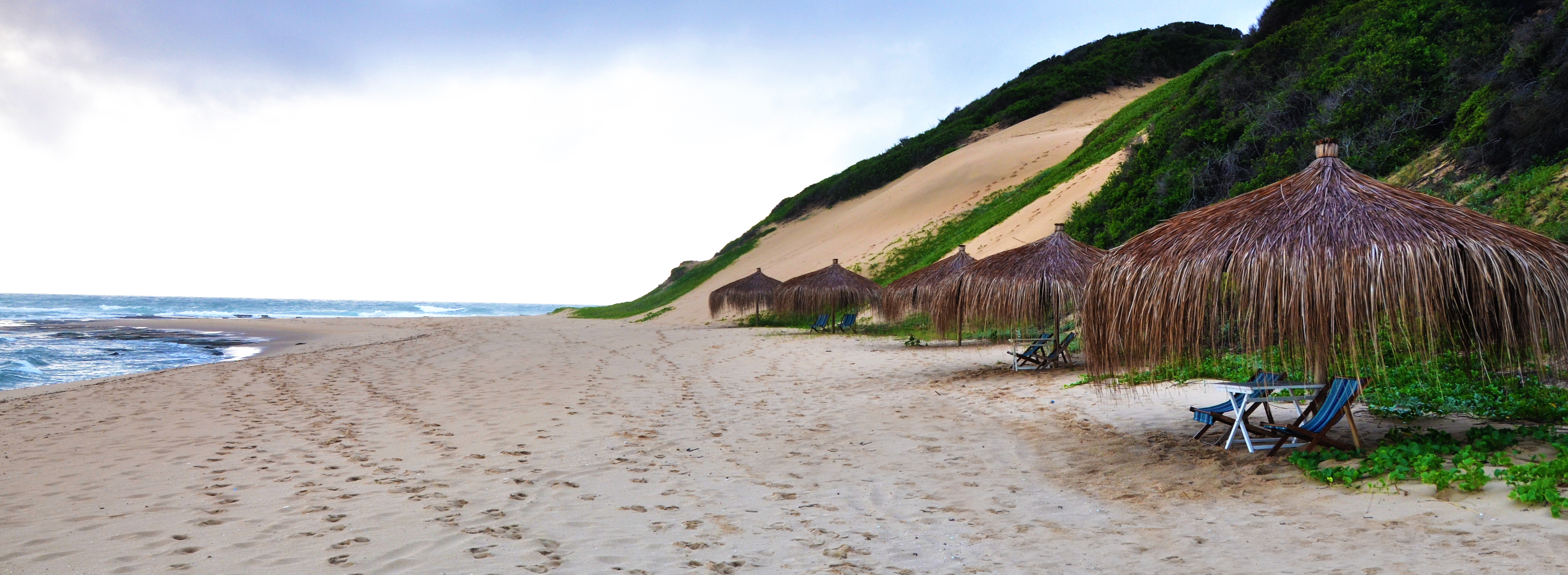 The "Majeka" umbrellas are scattered on the beach.