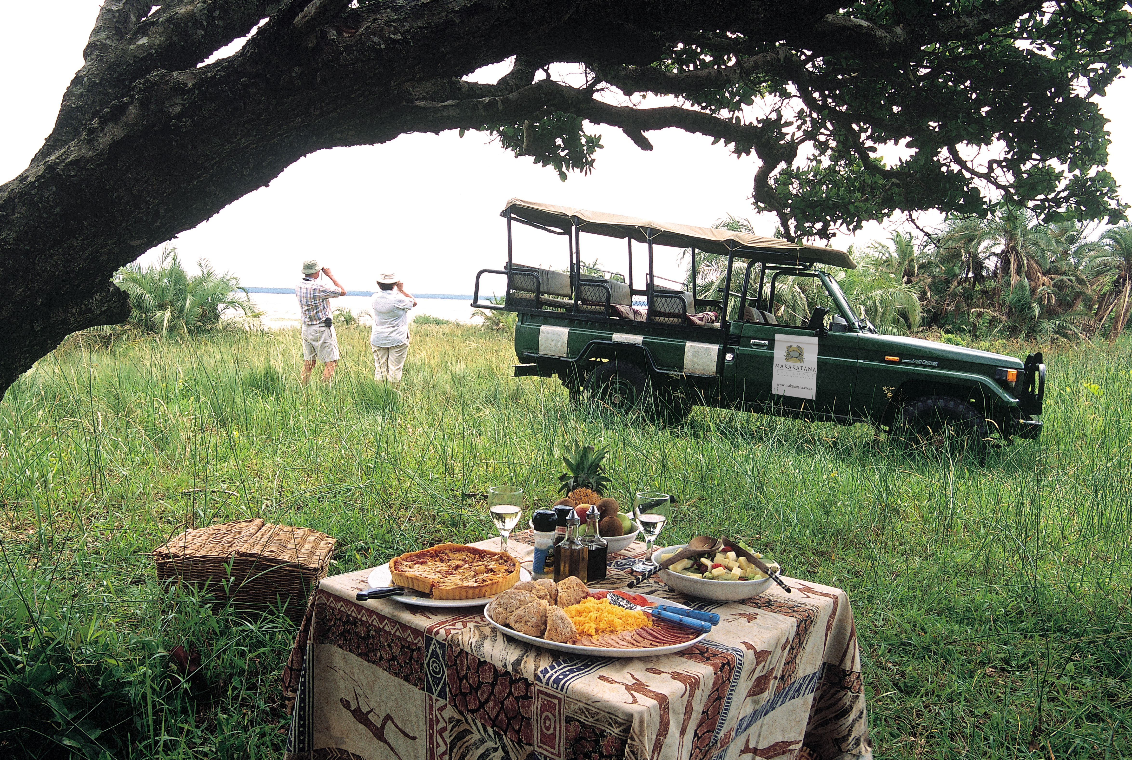 Enjoy a picnic lunch in the middle of the bush/wetlands on one of our full day safaris!