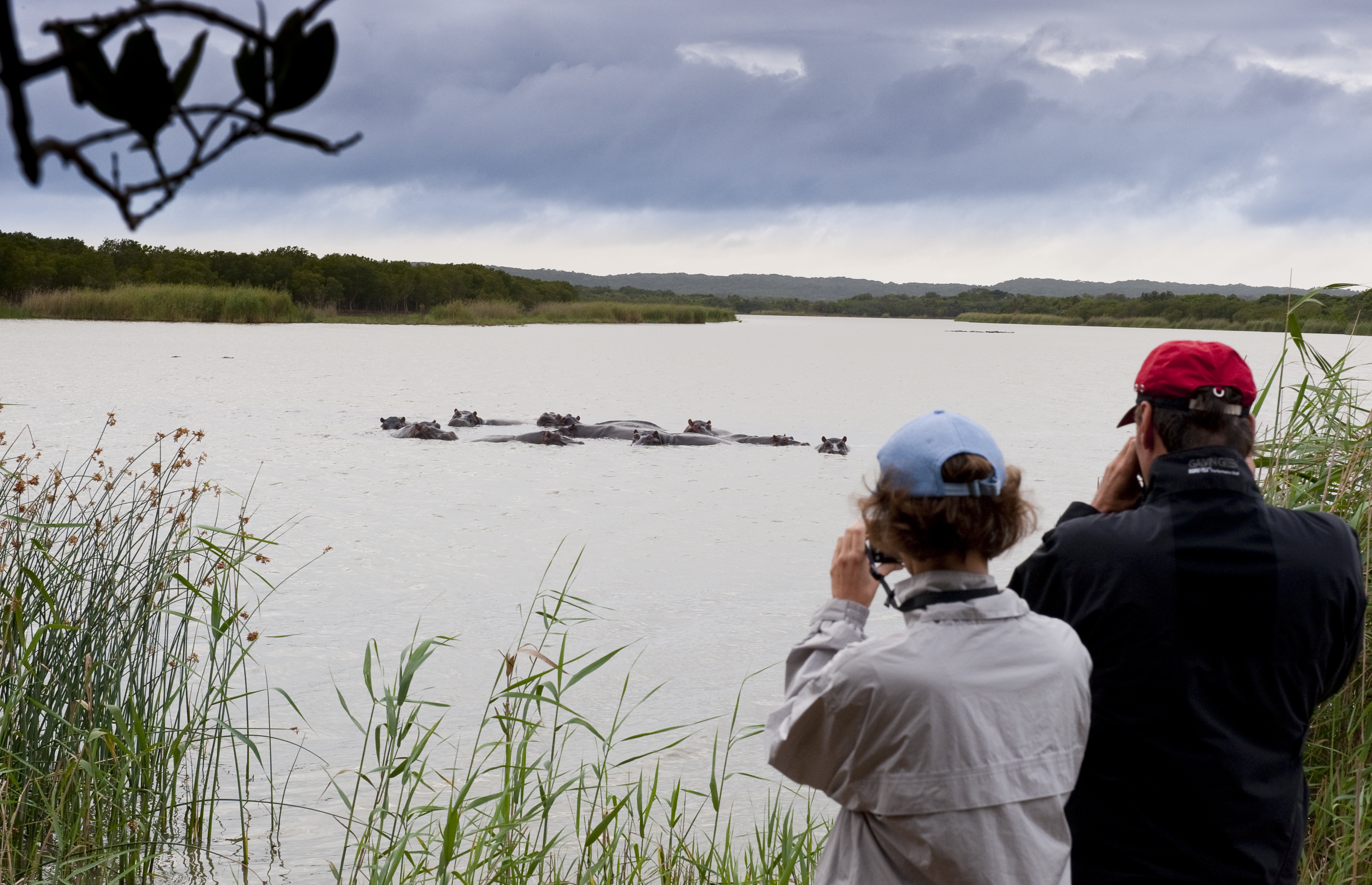 Game drives are included in the Fully Inclusive rate at Makakatana Bay Lodge