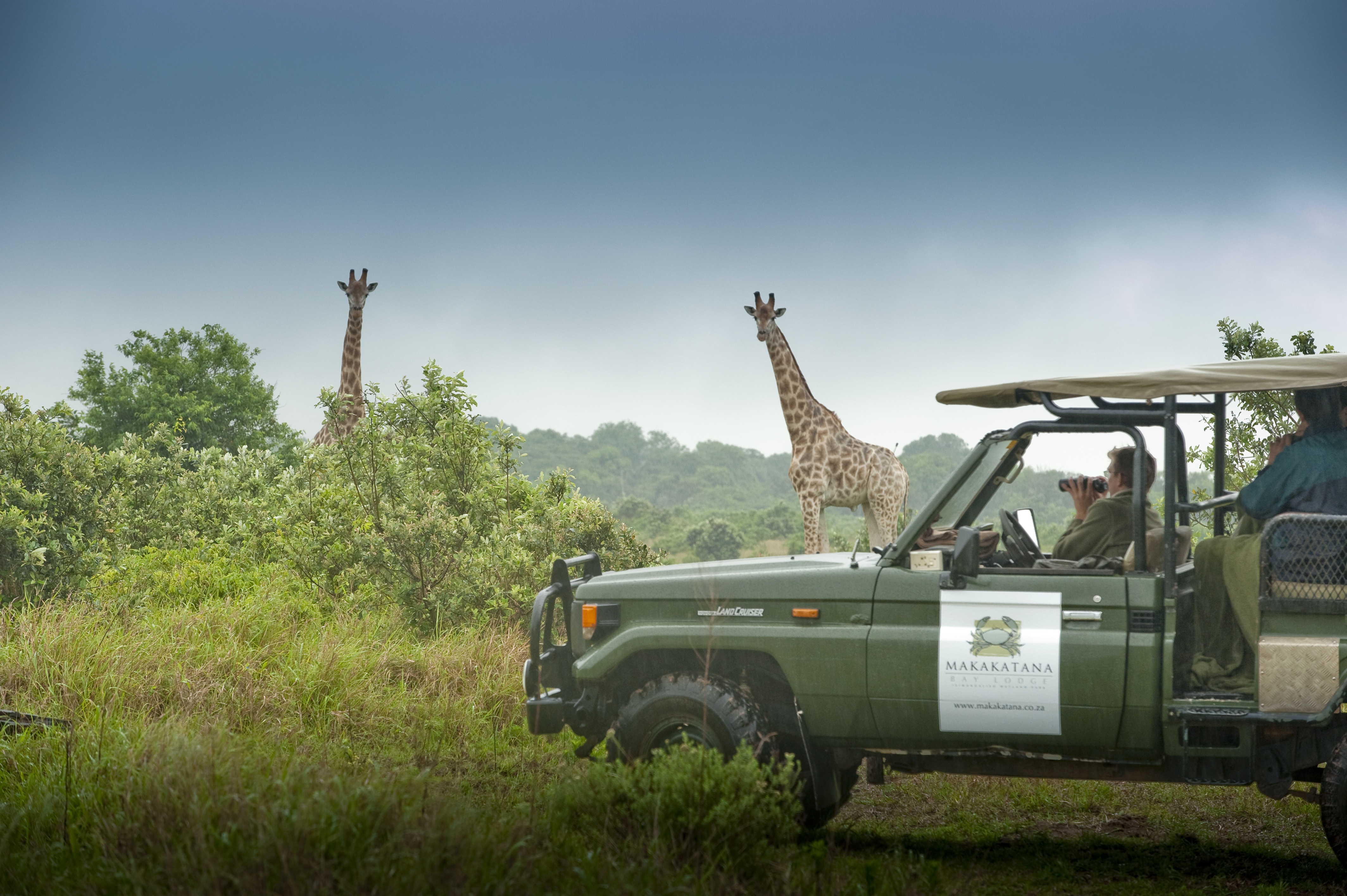 Guests can enjoy an afternoon game drive and a morning game drive at Makakatana Bay Lodge