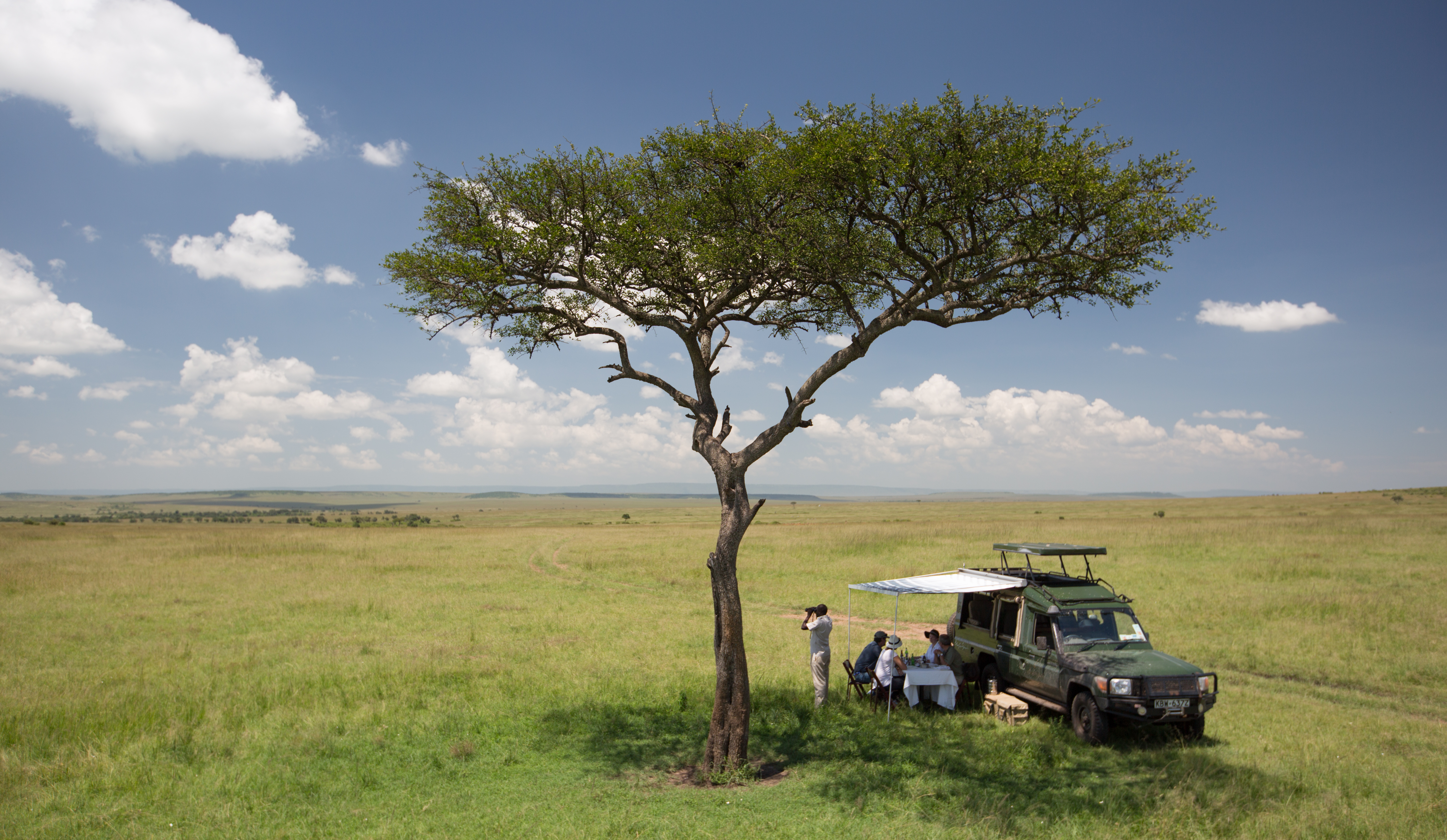 A bush lunch in the Masai Mara plains