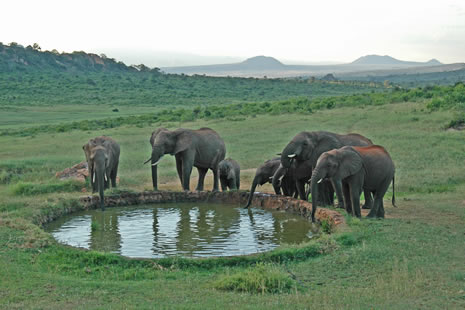 Ngulia Safari Lodge, Tsavo | Timbuktu Travel
