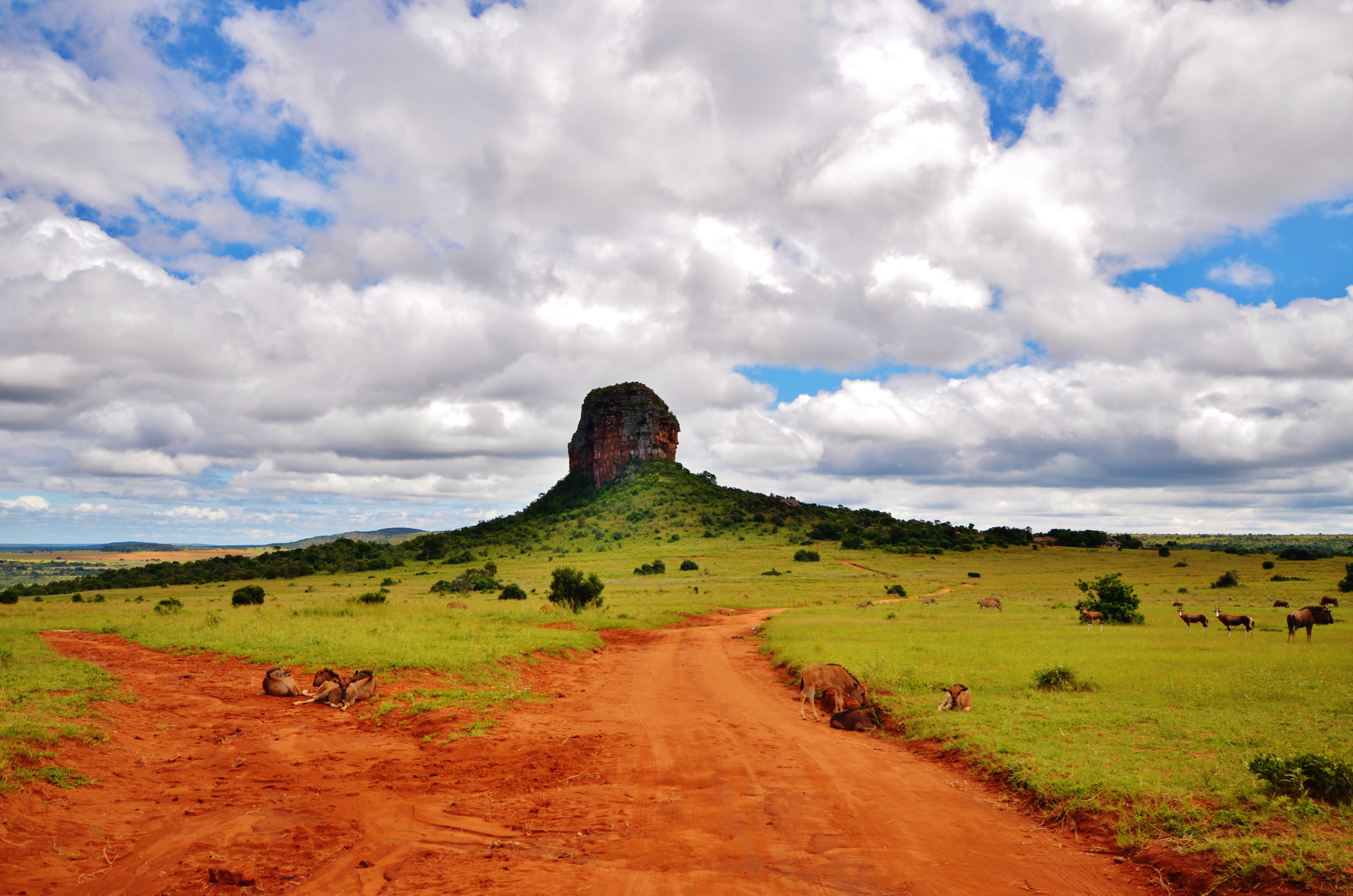Entabeni Kingfisher Lodge, Waterberg | Timbuktu Travel