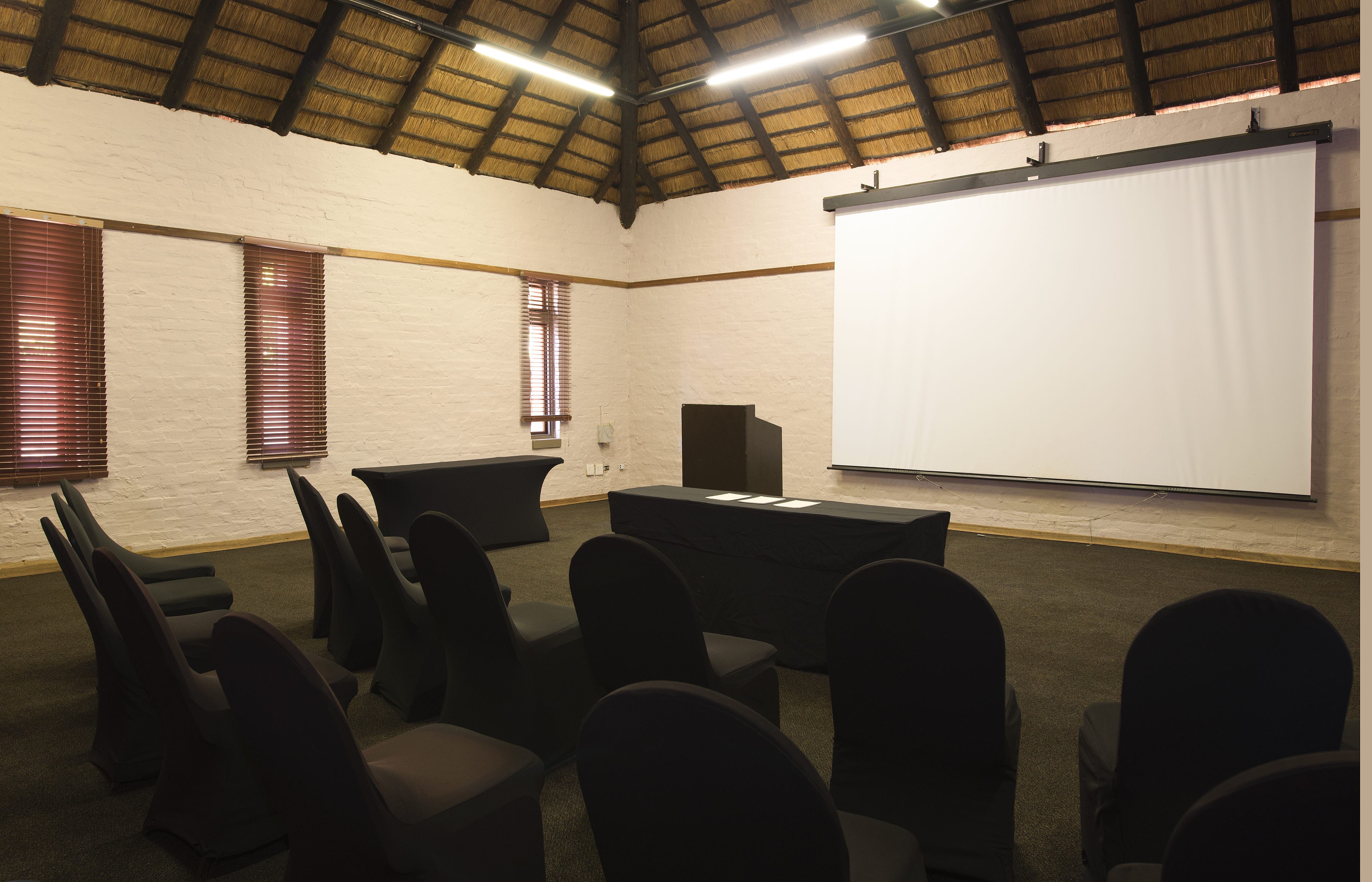 LakeSide Conference Cinema Style