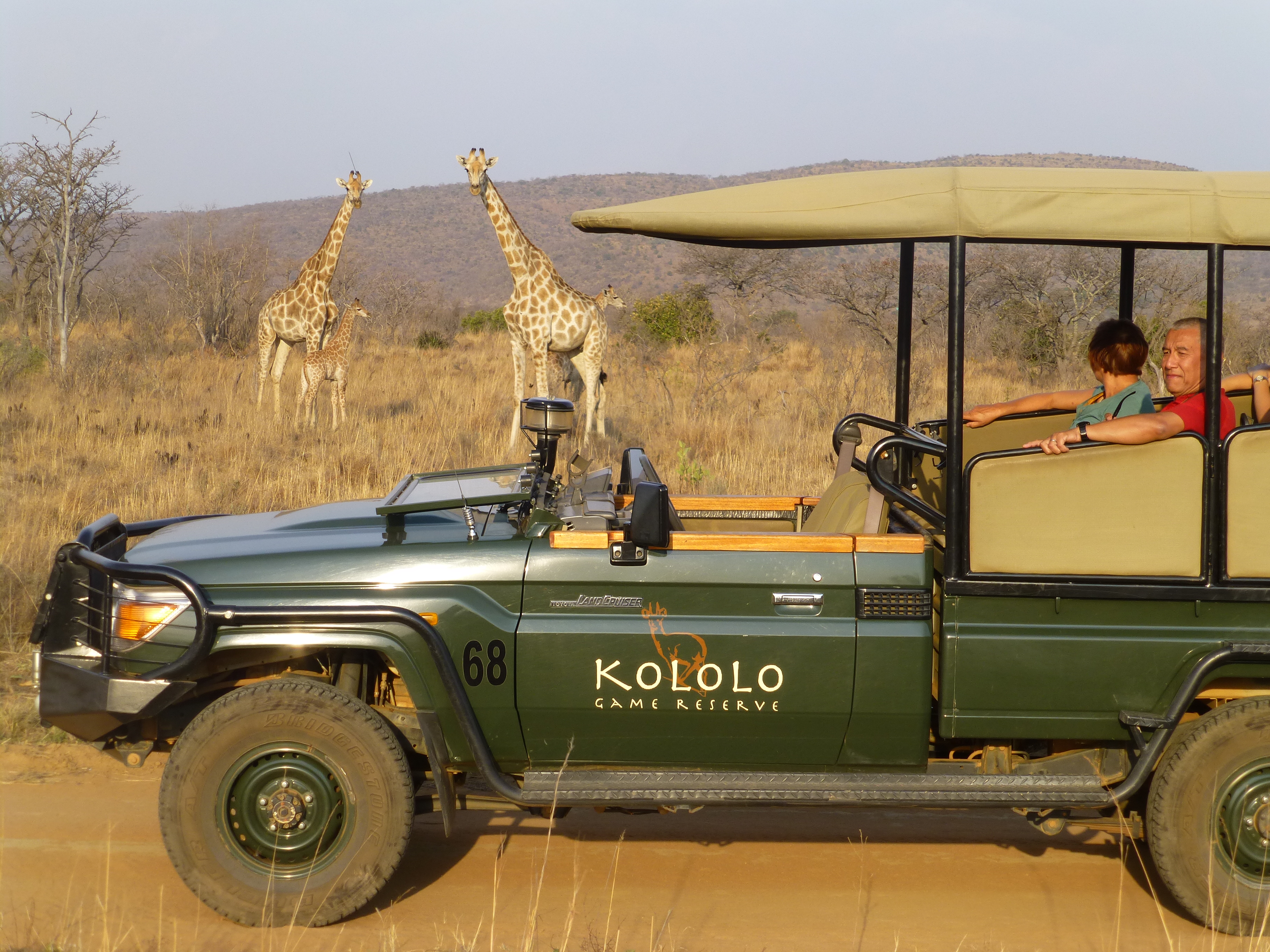 Kololo is therefore a prime destination for families with children. The "big game" is safely behind the Welgevonden gate so the kids are free to explore the area yet with the adventure of the 'safe' willidfe on Kololo.