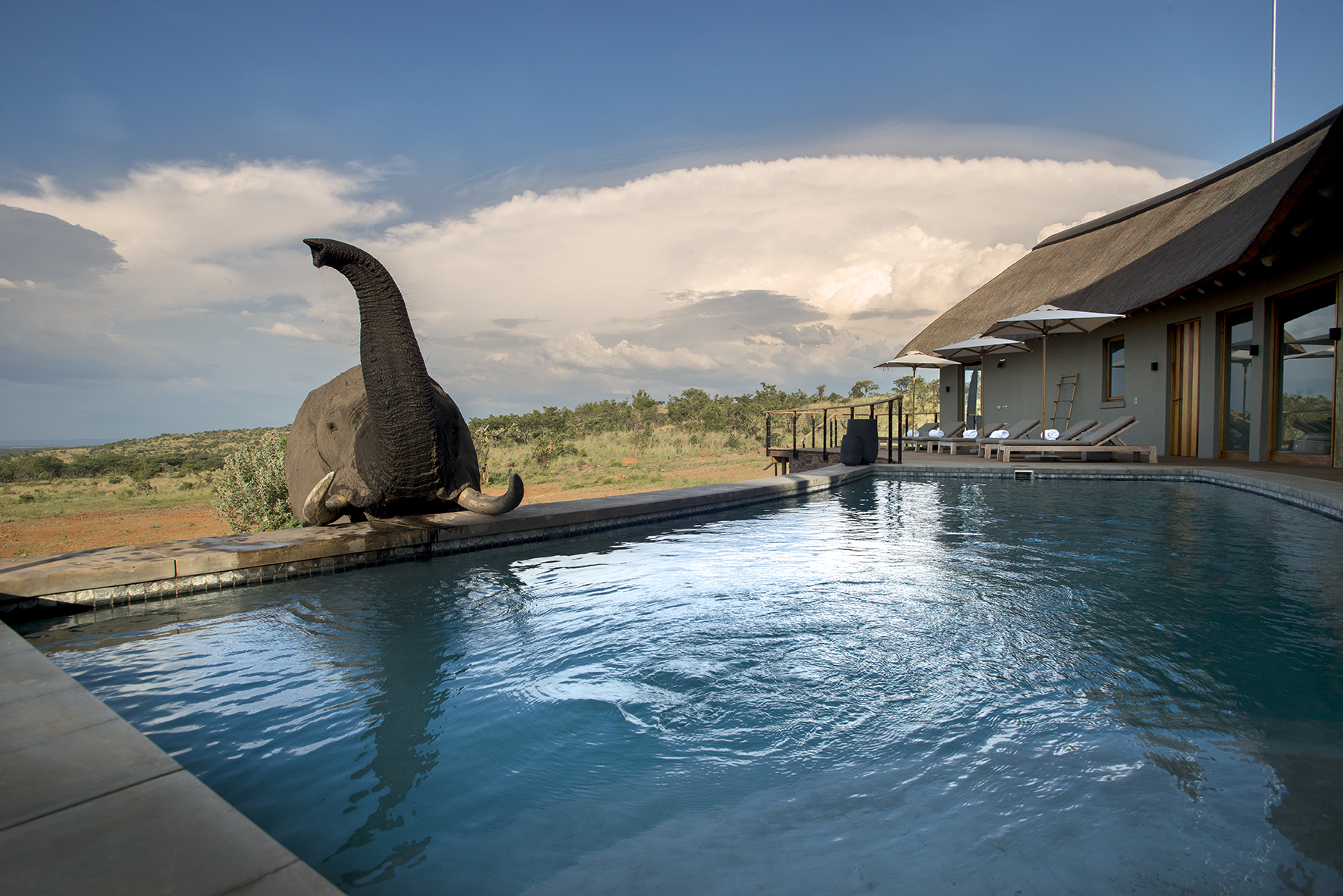 Mhondoro Game Lodge - Main lodge
