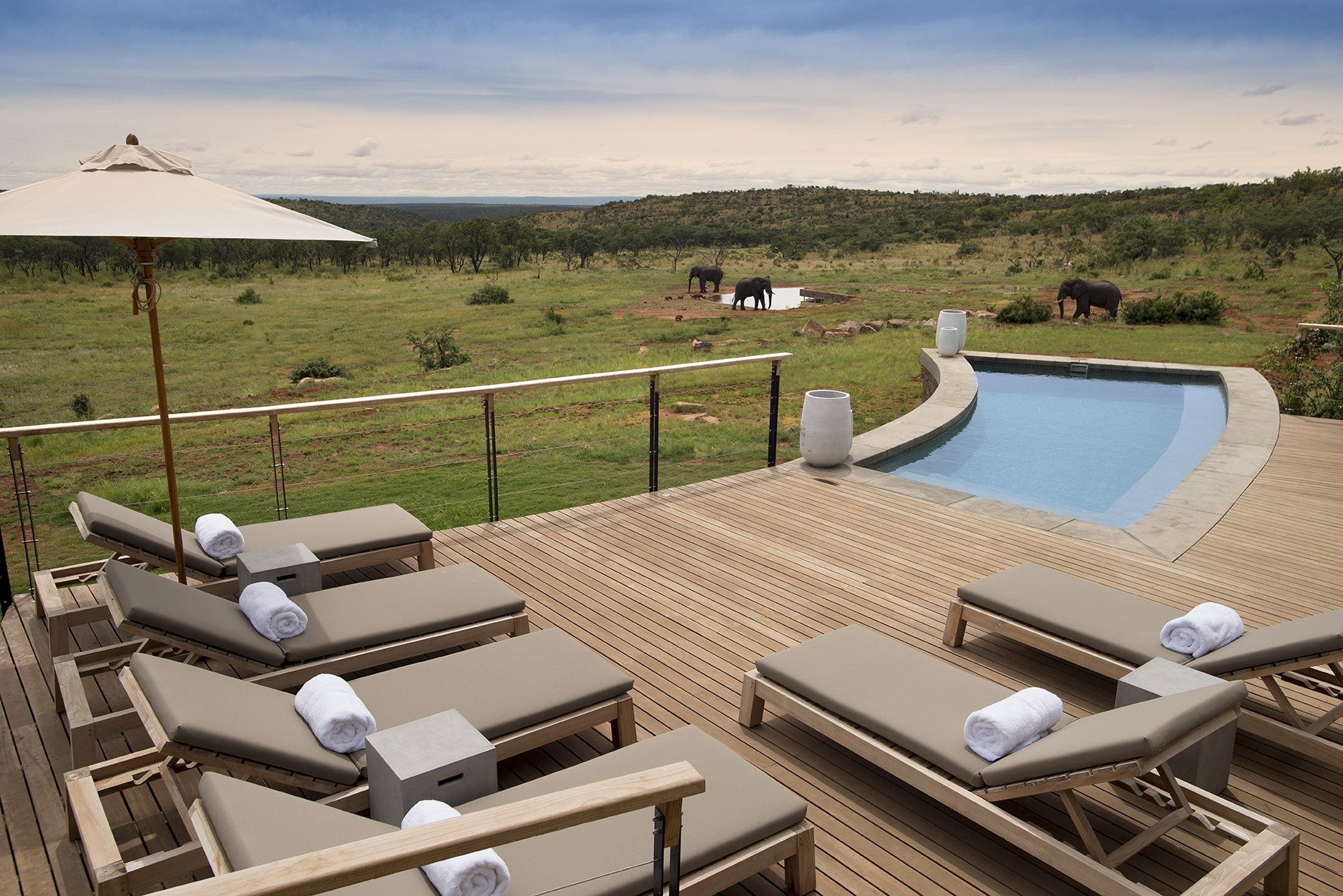 Mhondoro Game Lodge - Main Lodge  Pool