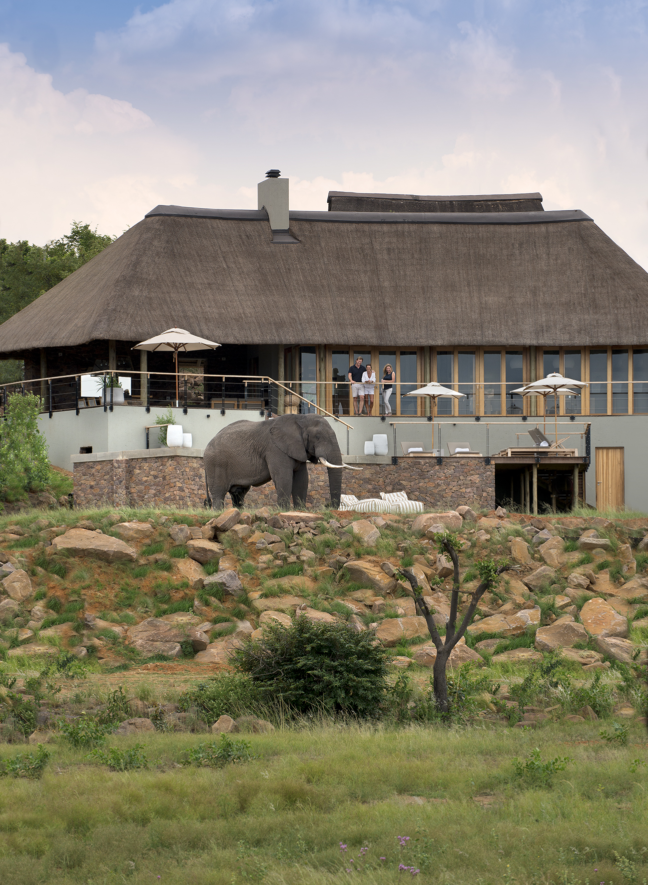 Mhondoro Game Lodge Main Lodge , waterhole
