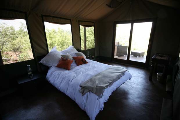 Wild Ivory Eco Lodge, Waterberg | Timbuktu Travel
