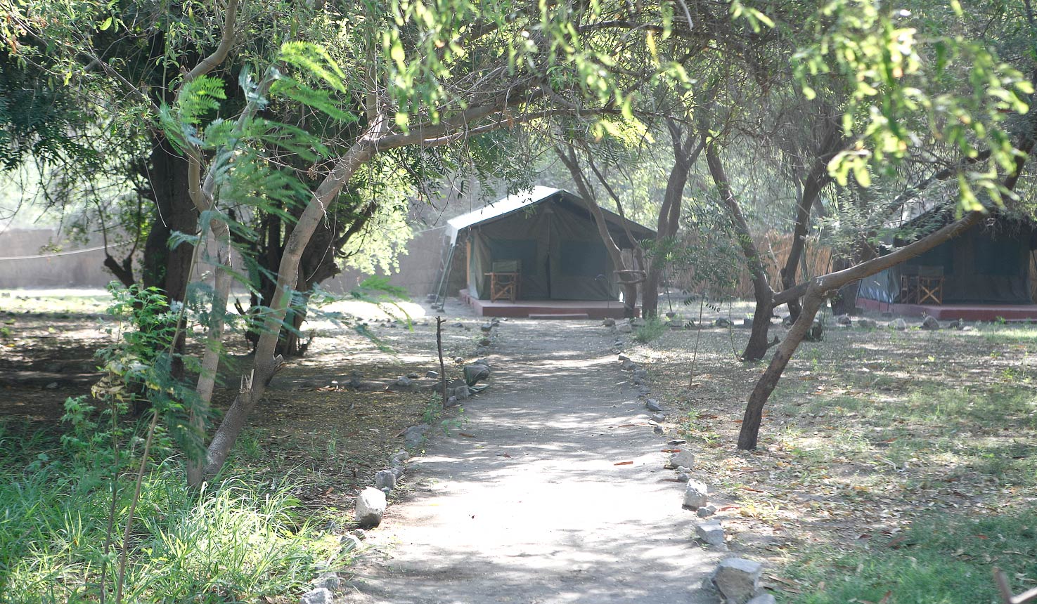 Natron River Camp, Lake Natron | Timbuktu Travel
