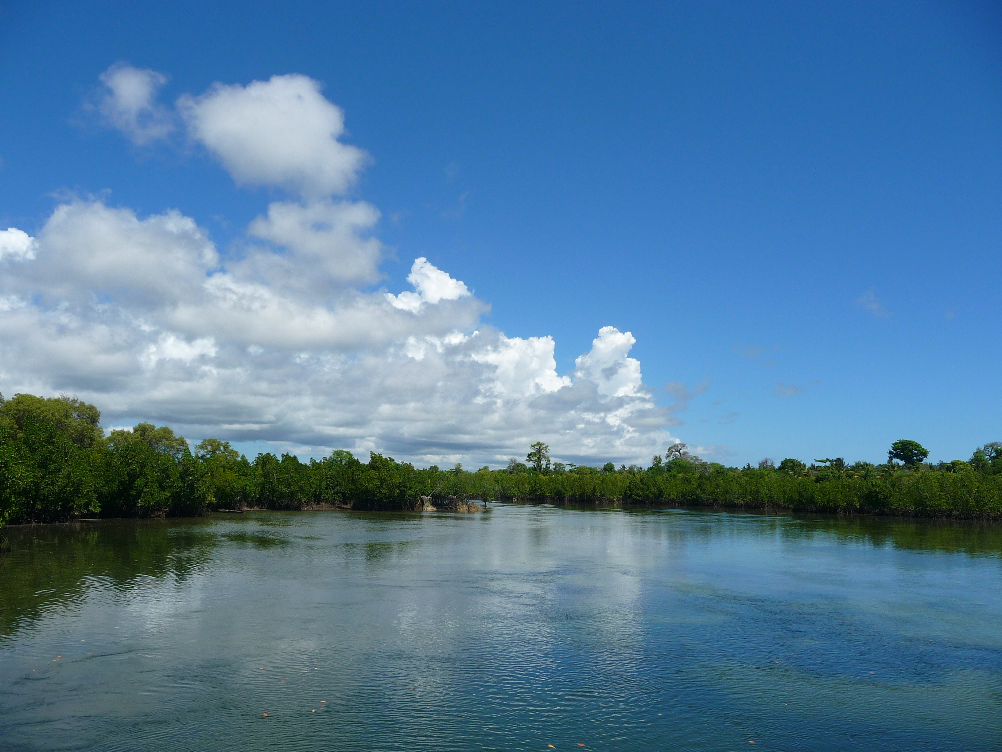 Crusing on Mangrove before getting to Pemba Lodge