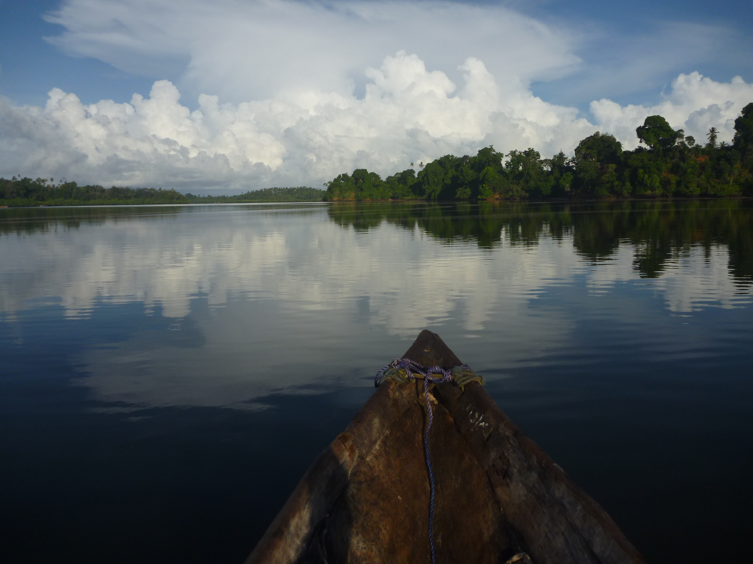 Crusing wth our dhow along the Mangrove