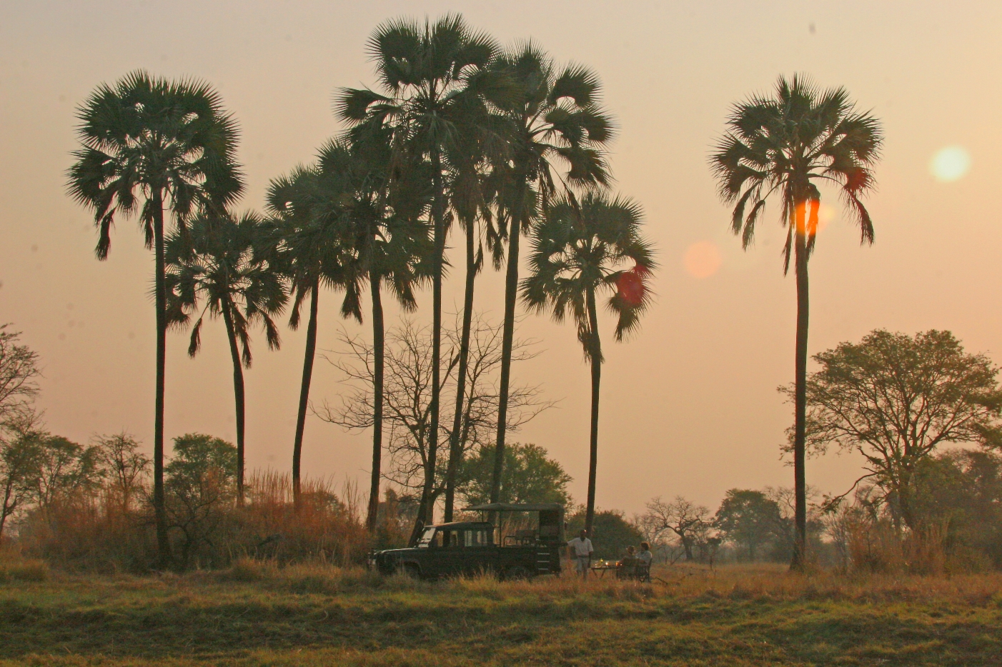 Afternoon game drive