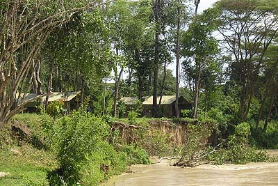 Ishasha Ntungwe River Camp, Queen Elizabeth | Timbuktu Travel