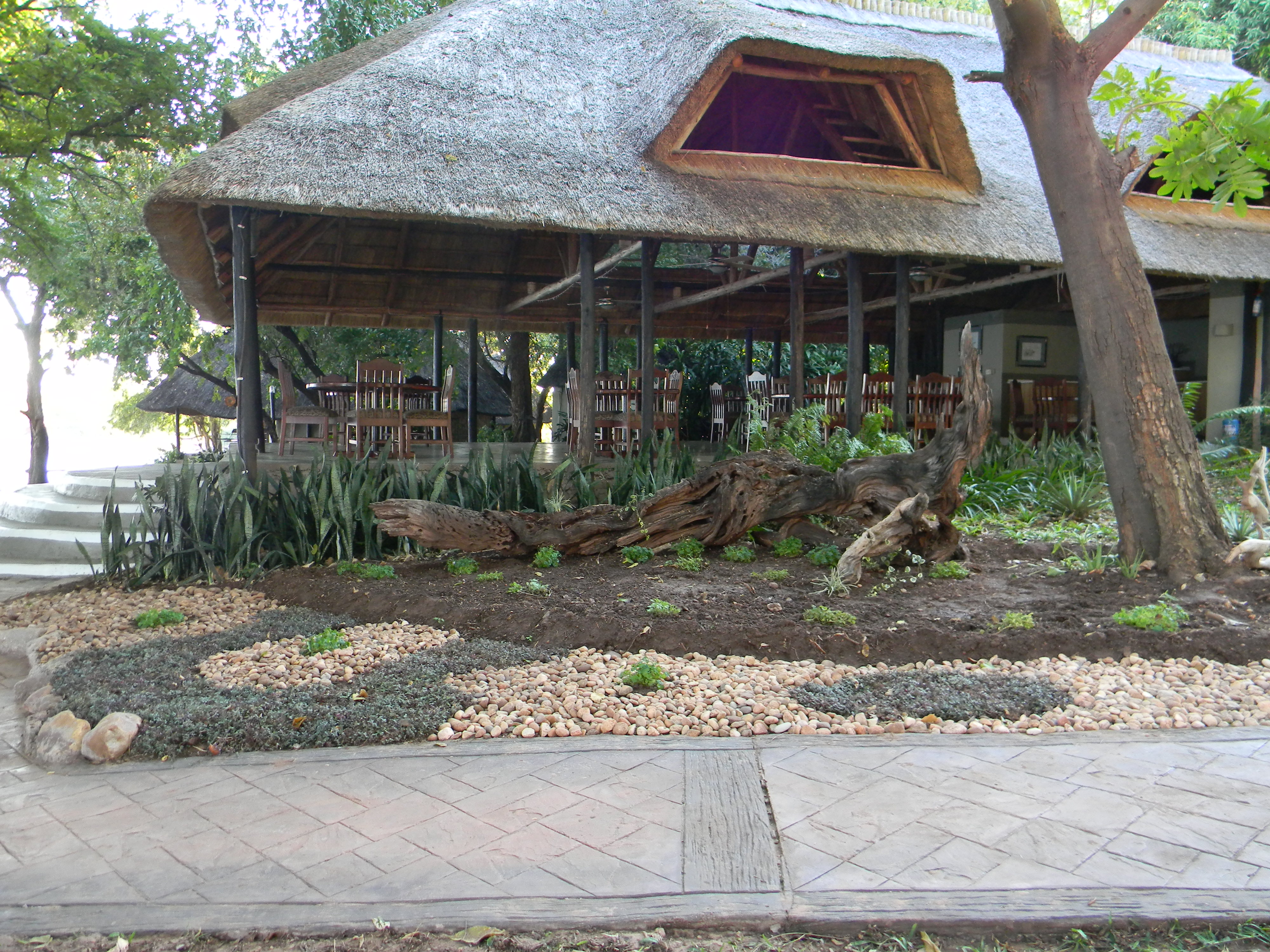 The Dining room hosting an array of new and exciting menu's.