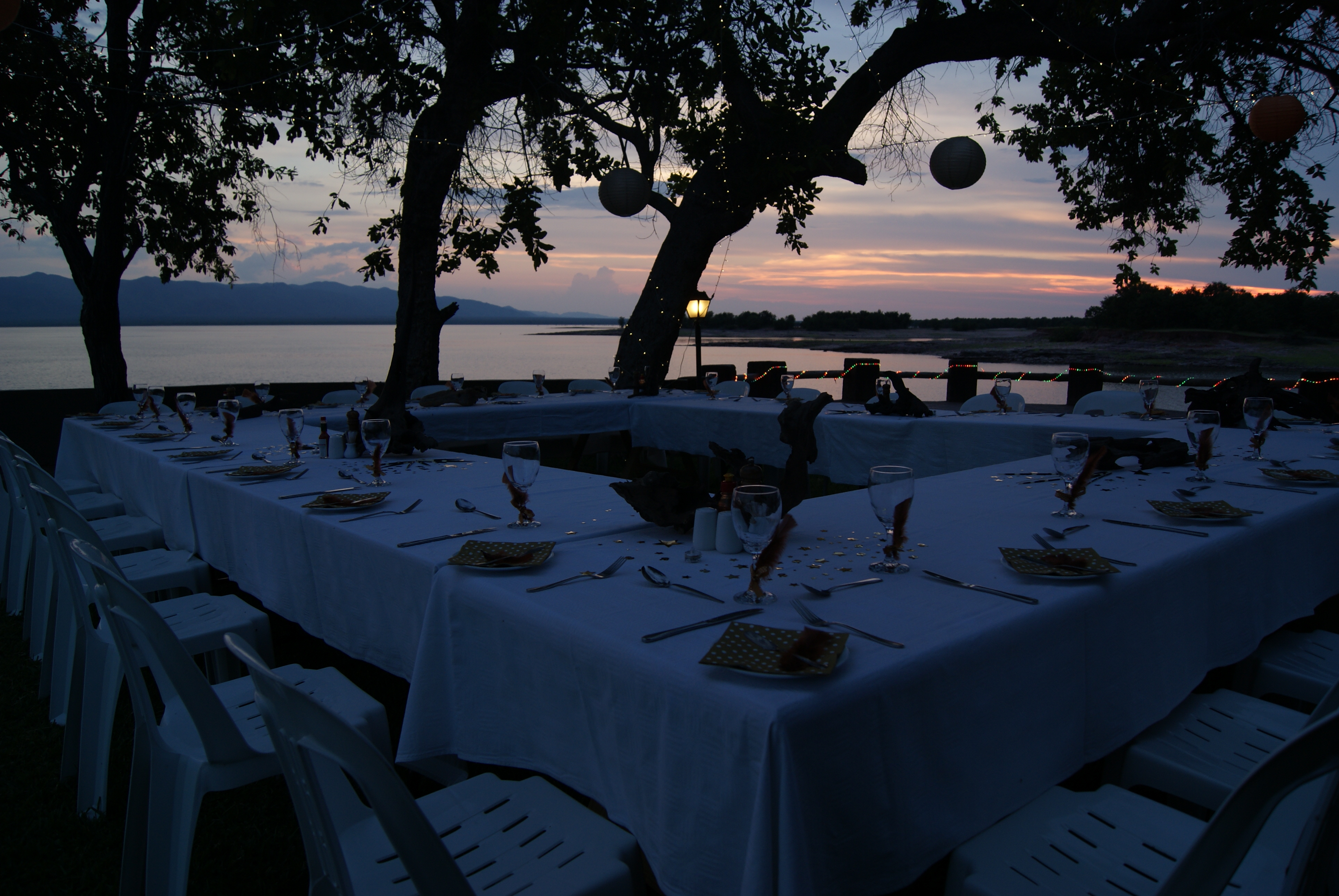 50th Birthday party set up with fairy lights.