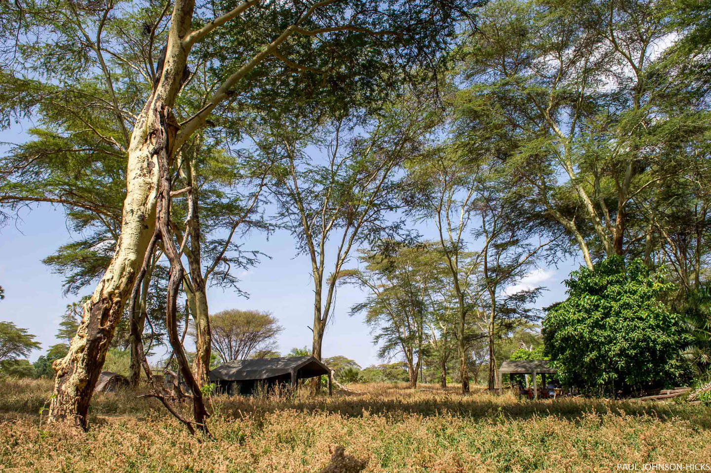 Meru Mobile Safari, Meru | Timbuktu Travel