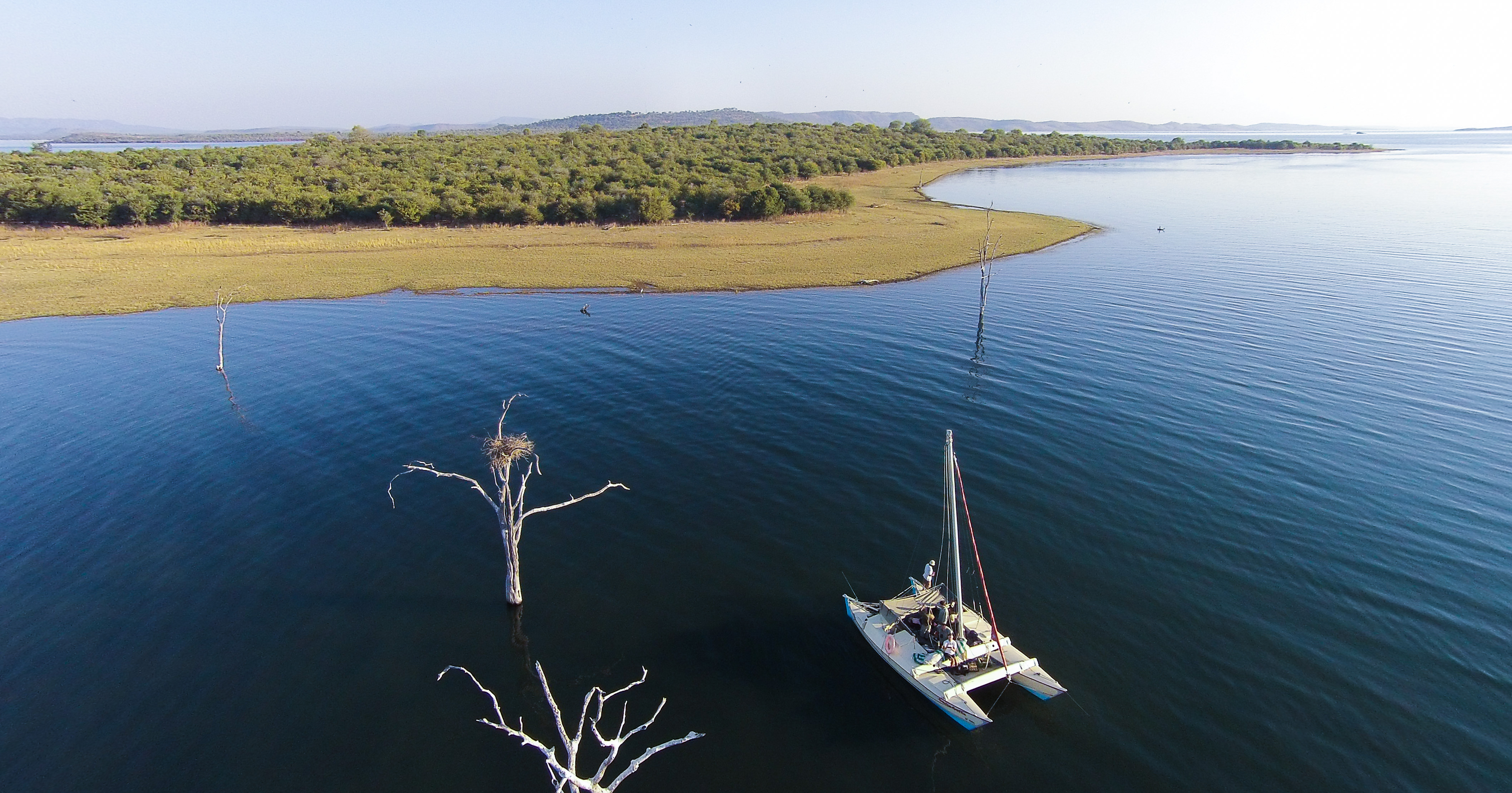 Sailing to Starvation Island in Musango's 23 foot catamaran and experience the abundant wildlife and birdlife in the area.