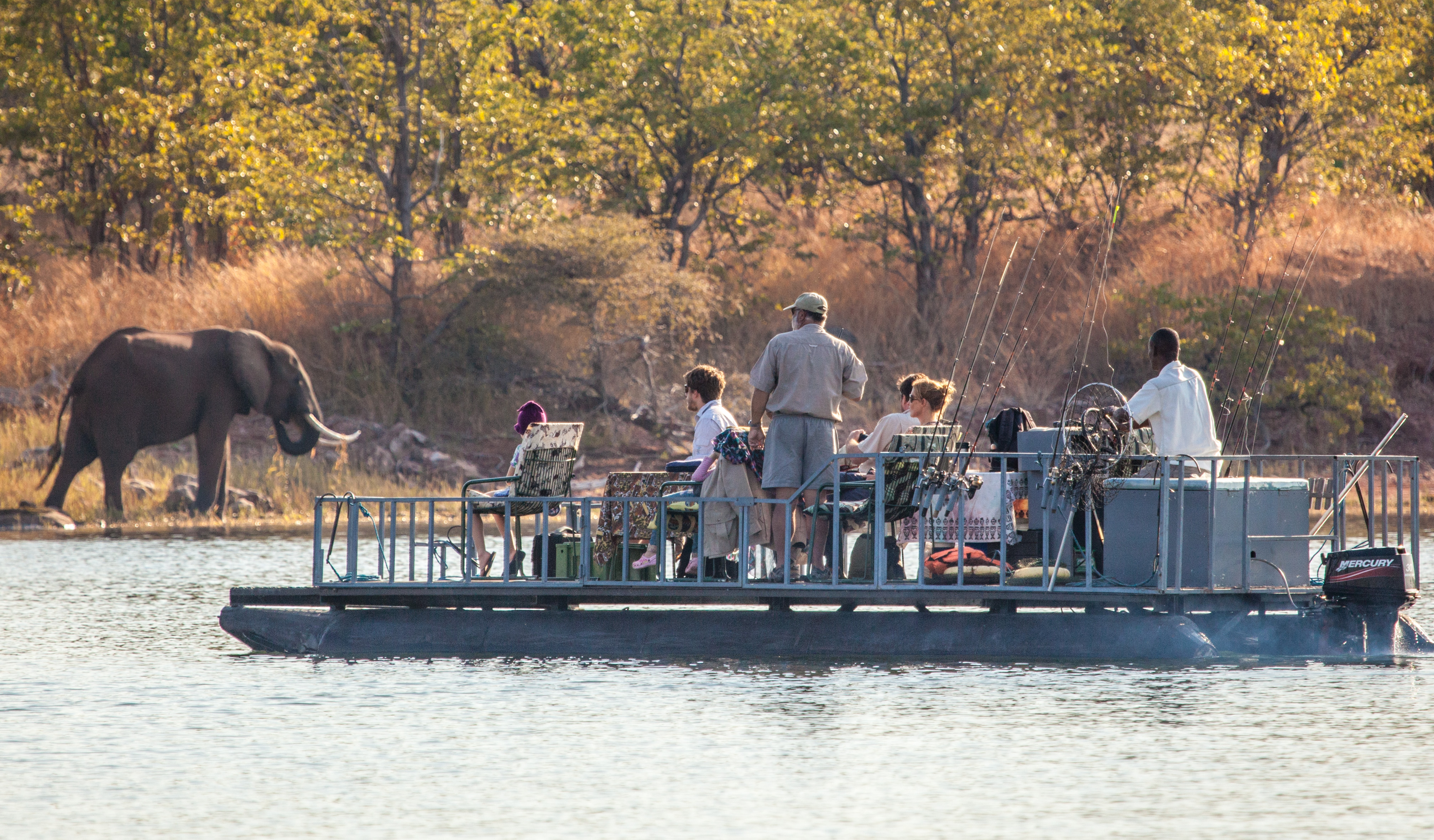 Simply the best way to experience wild life up close without disturbing them.