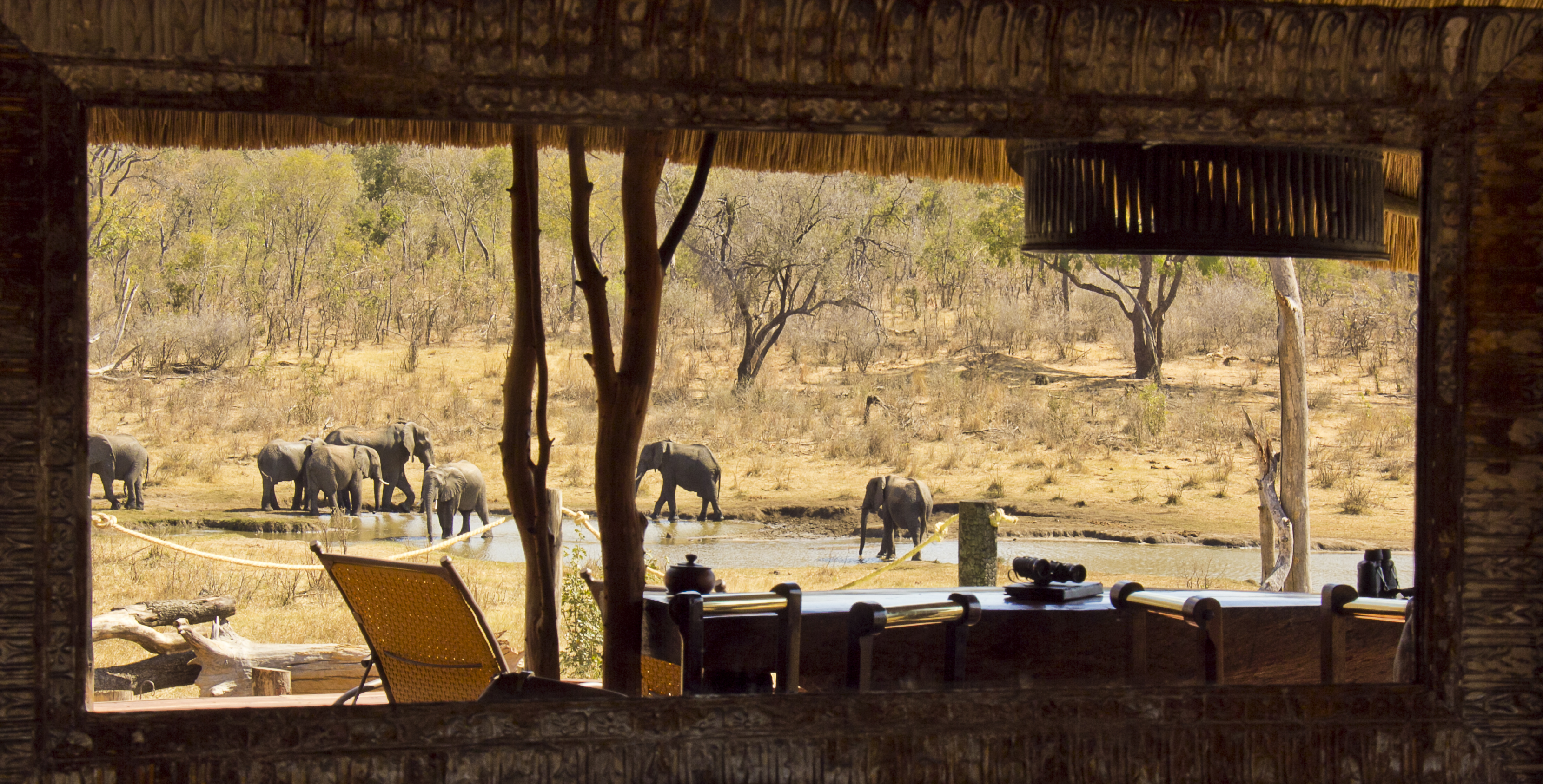 Incredible view of the watering hole from the main relaxation area at Khulu Lodge