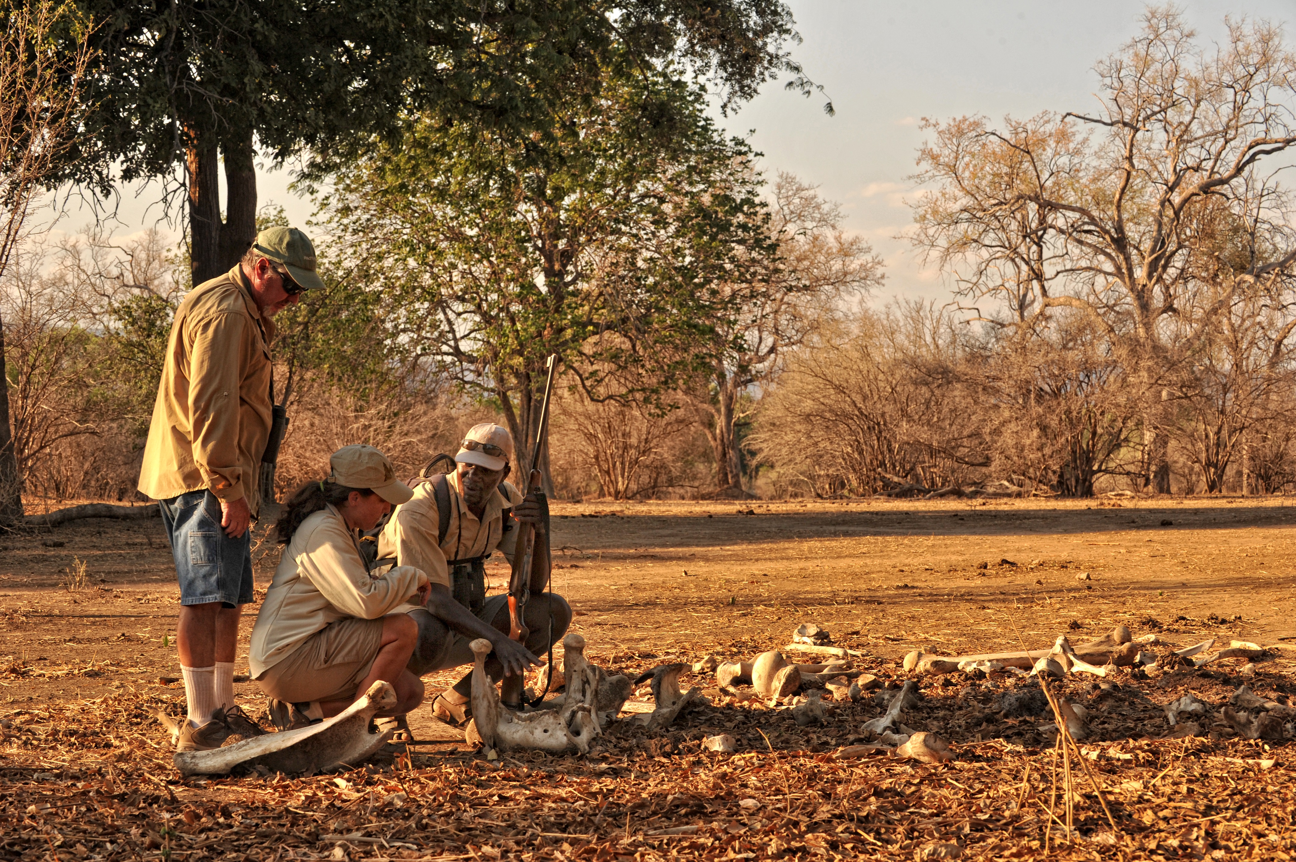 Game walks with one of our professional guides