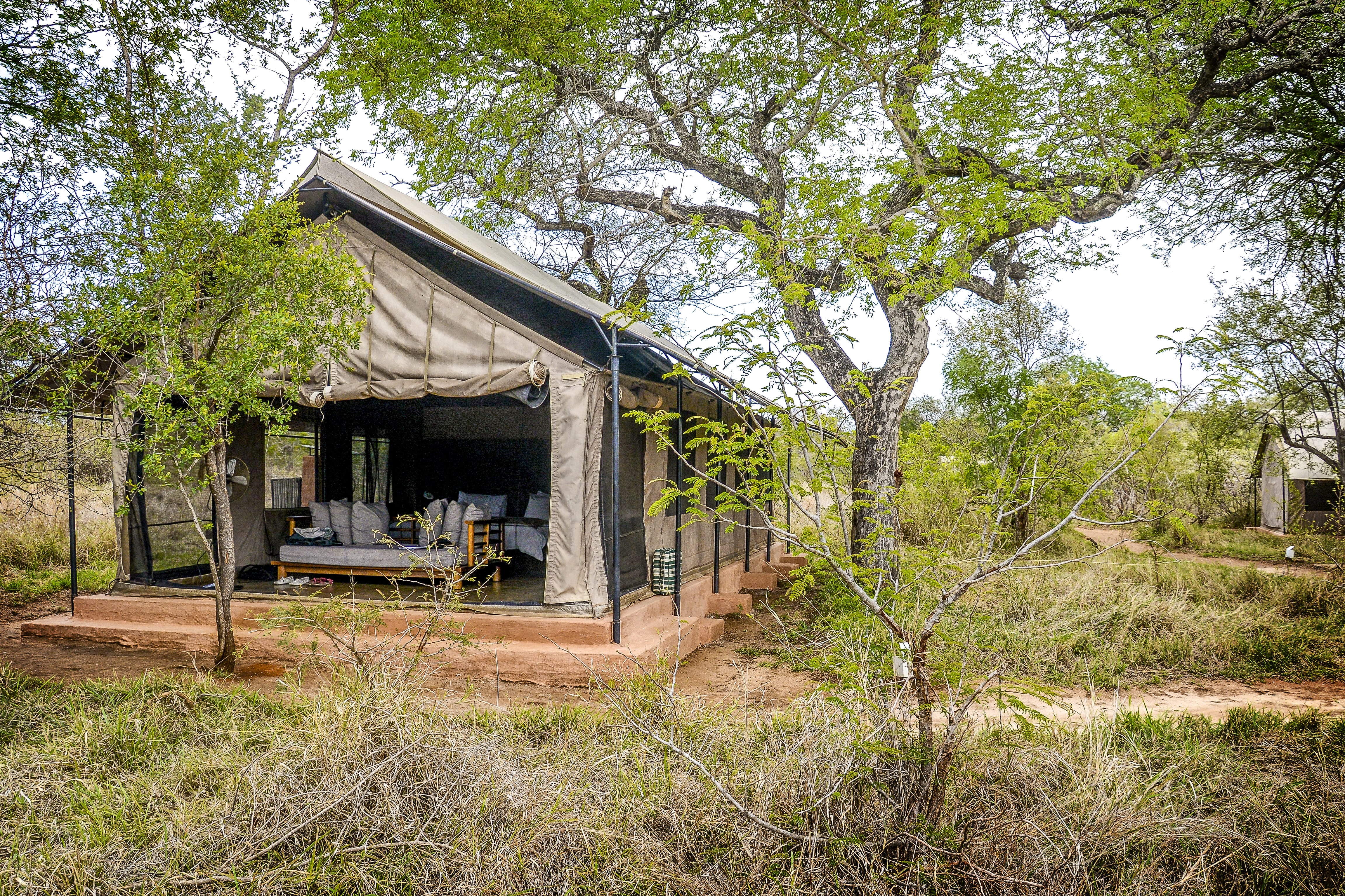 Honeyguide Khoka Moya Tented Camp, Manyeleti | Timbuktu Travel