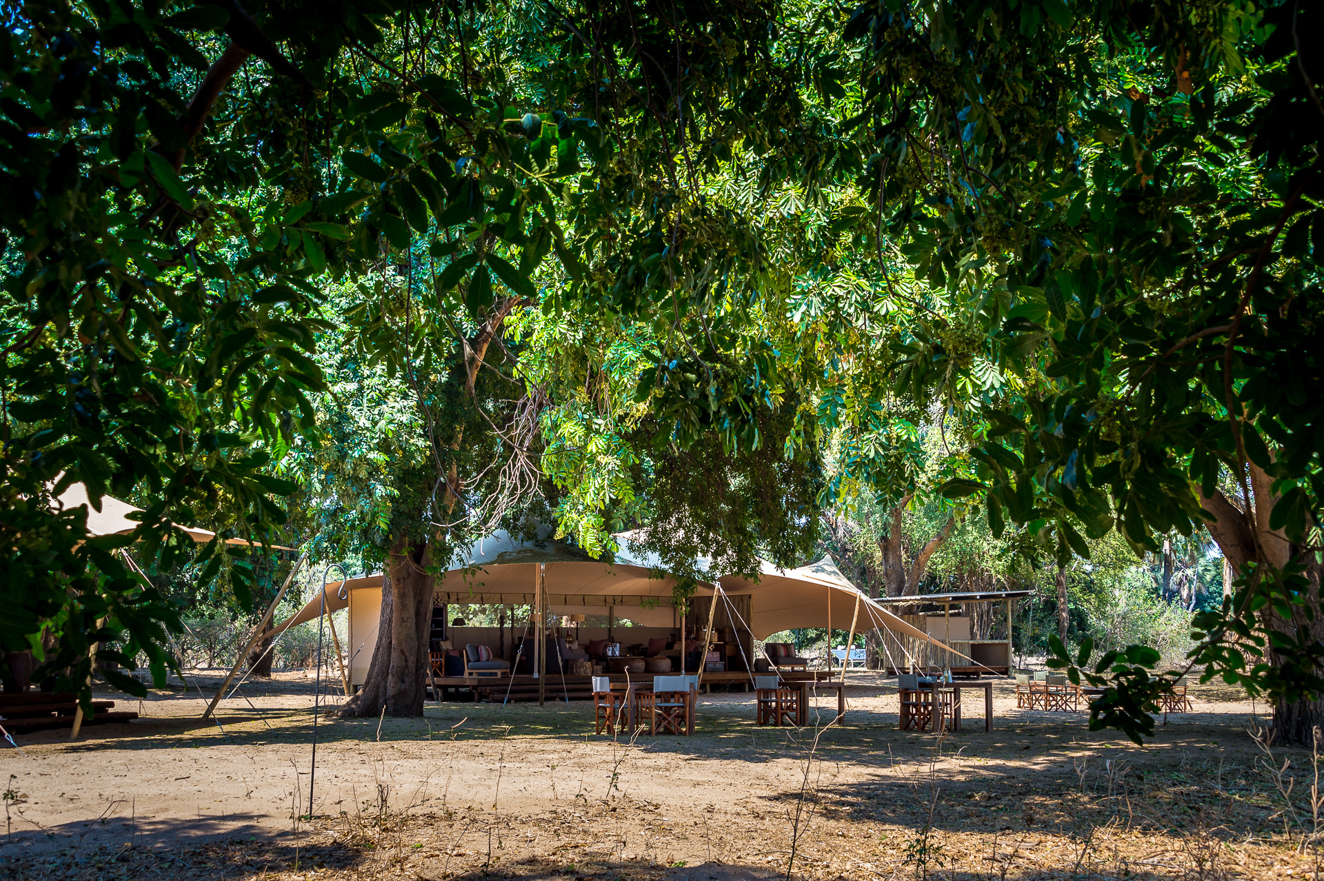 Little Ruckomechi’s scenic location epitomises Mana Pools National Park in all its abundance